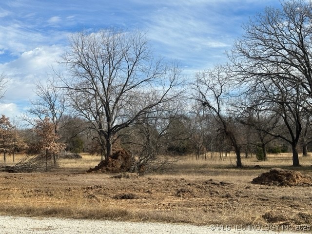 40 Royalty Court Kingston OK 73439