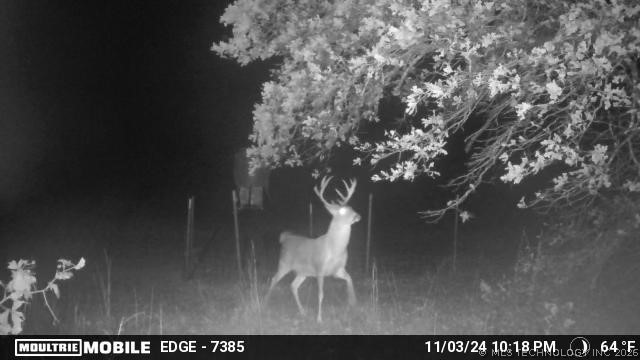 16558 Midway Springer OK 73458