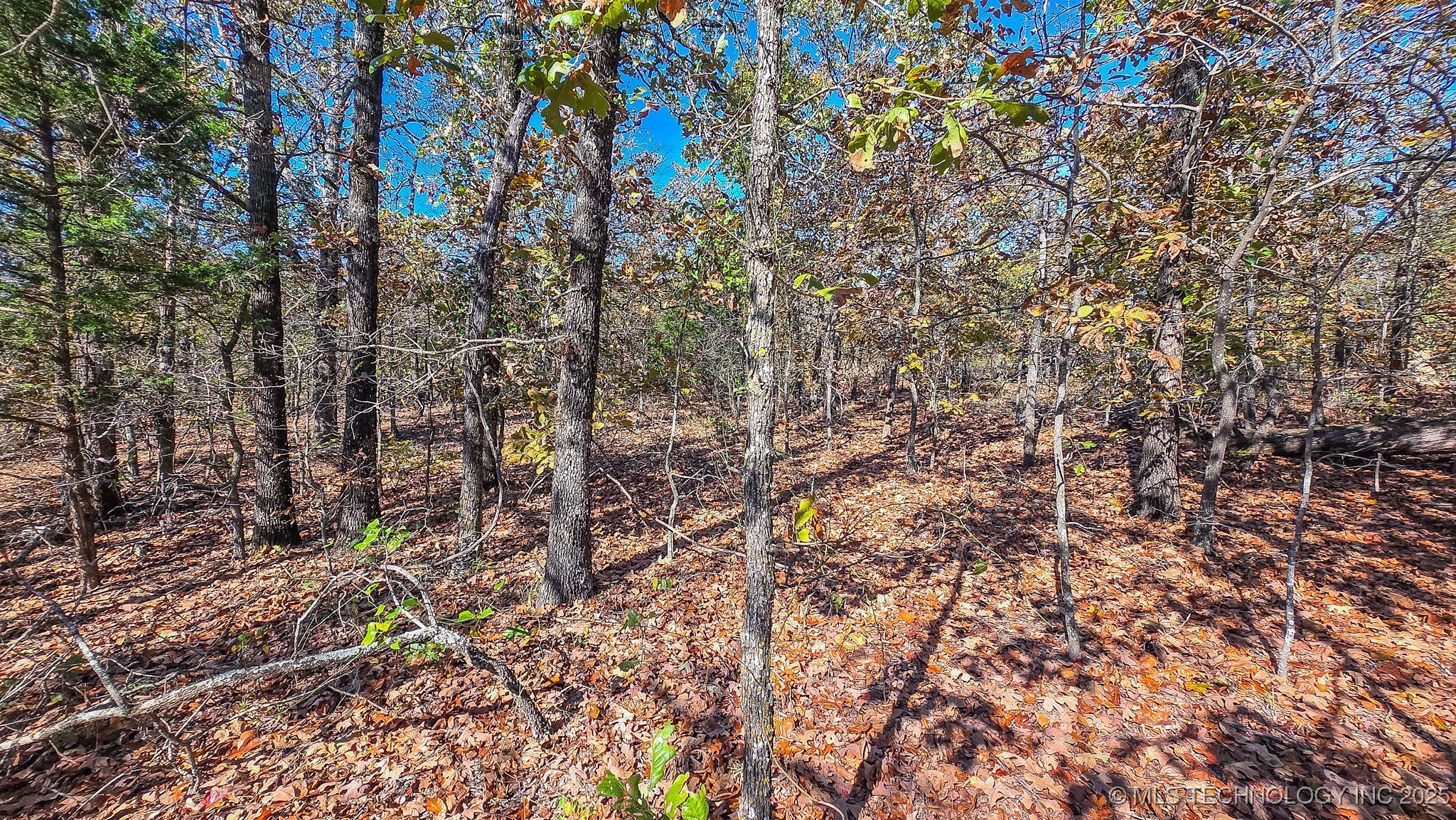 S 4270 Road Checotah OK 74426