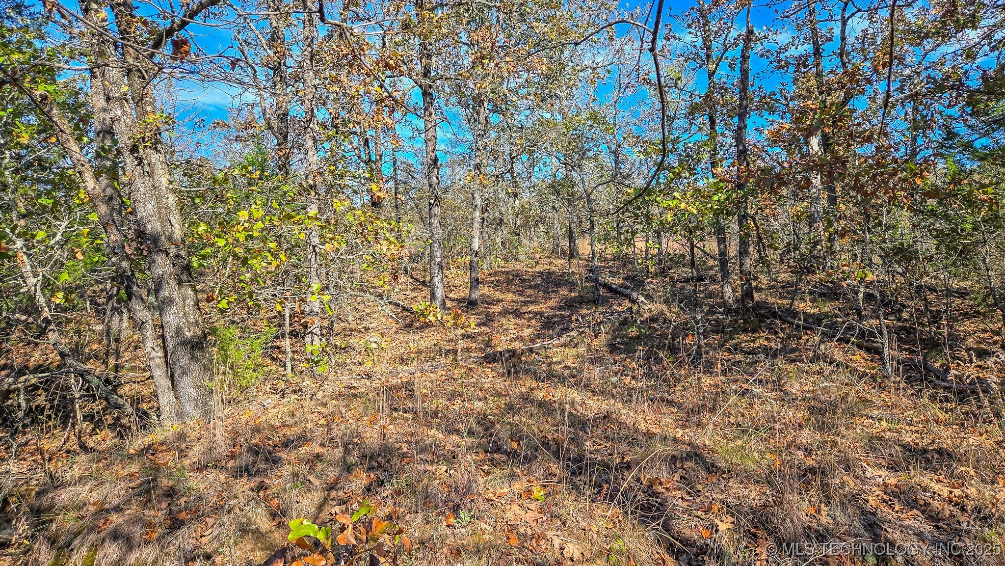S 4270 Road Checotah OK 74426