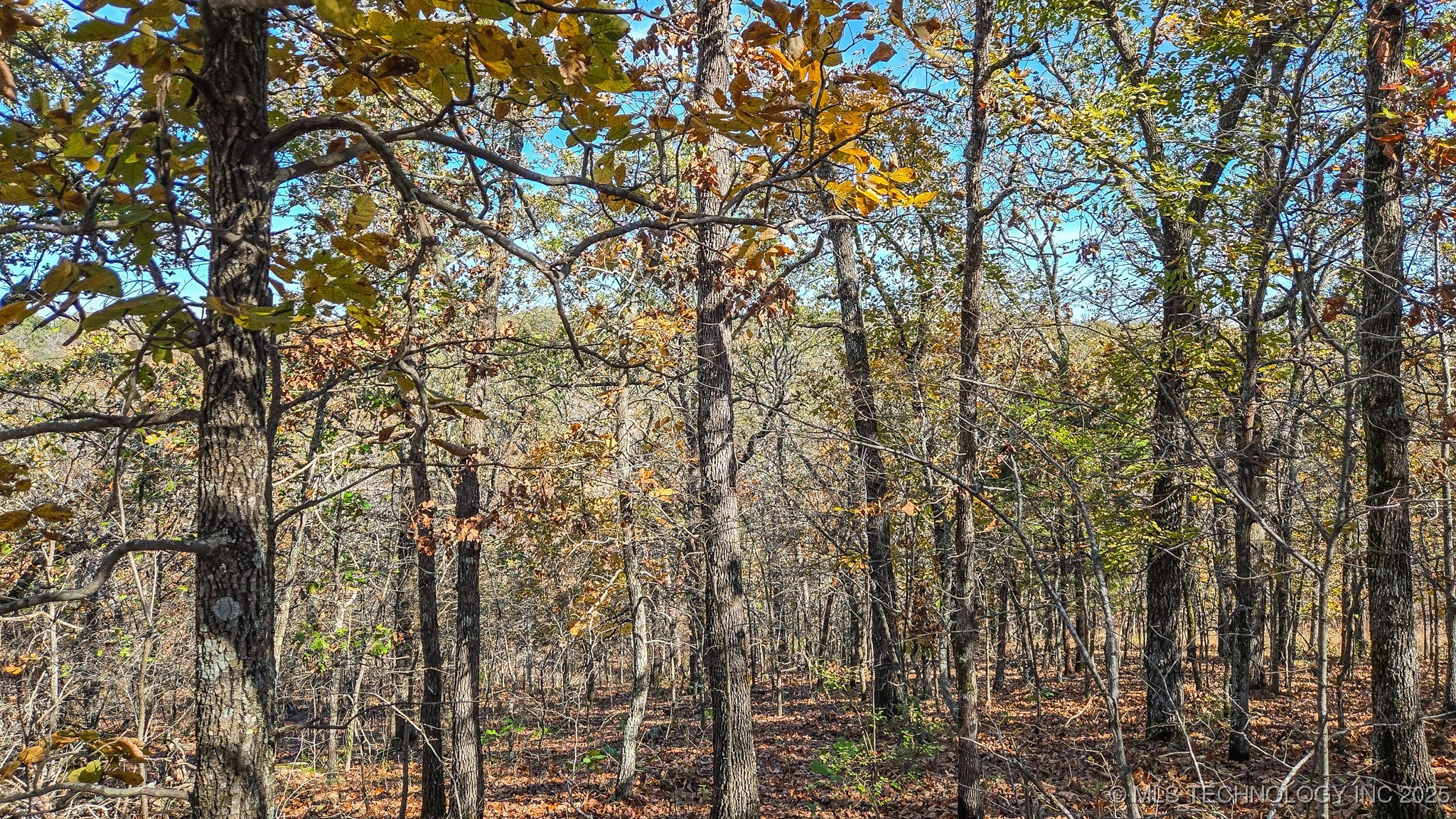 S 4270 Road Checotah OK 74426