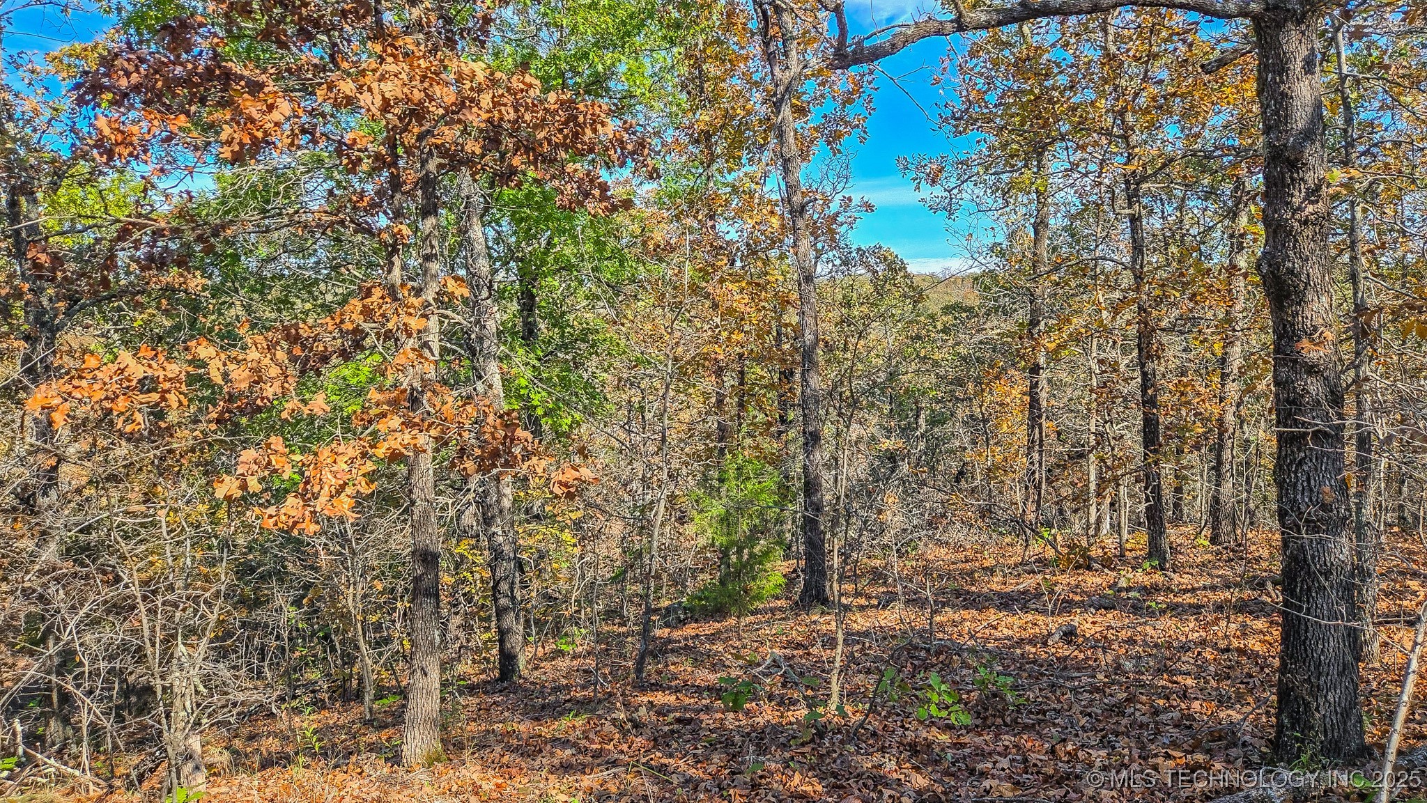 S 4270 Road Checotah OK 74426