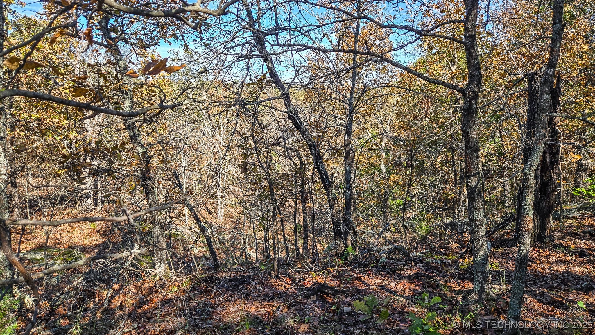 S 4270 Road Checotah OK 74426