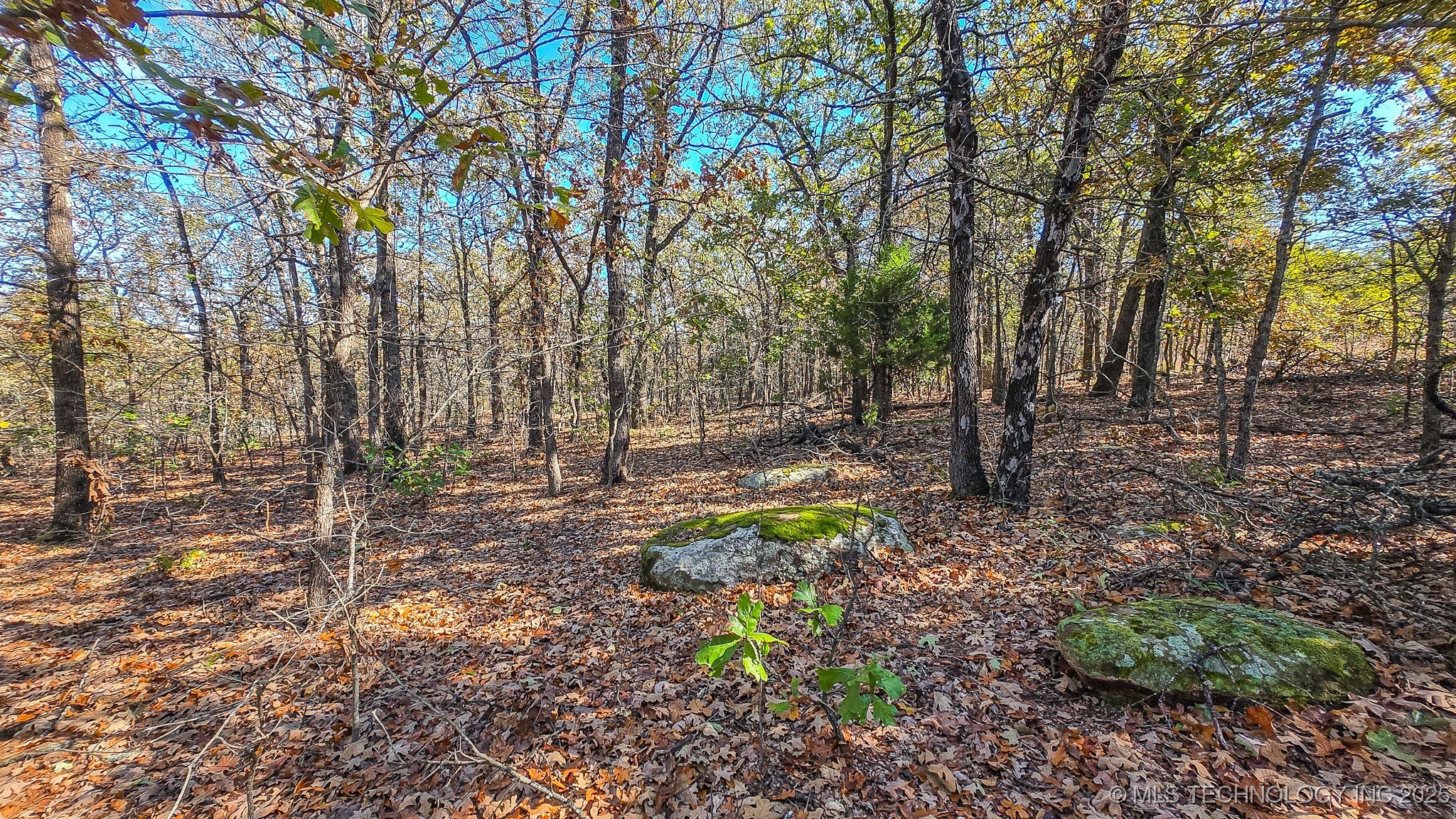 S 4270 Road Checotah OK 74426