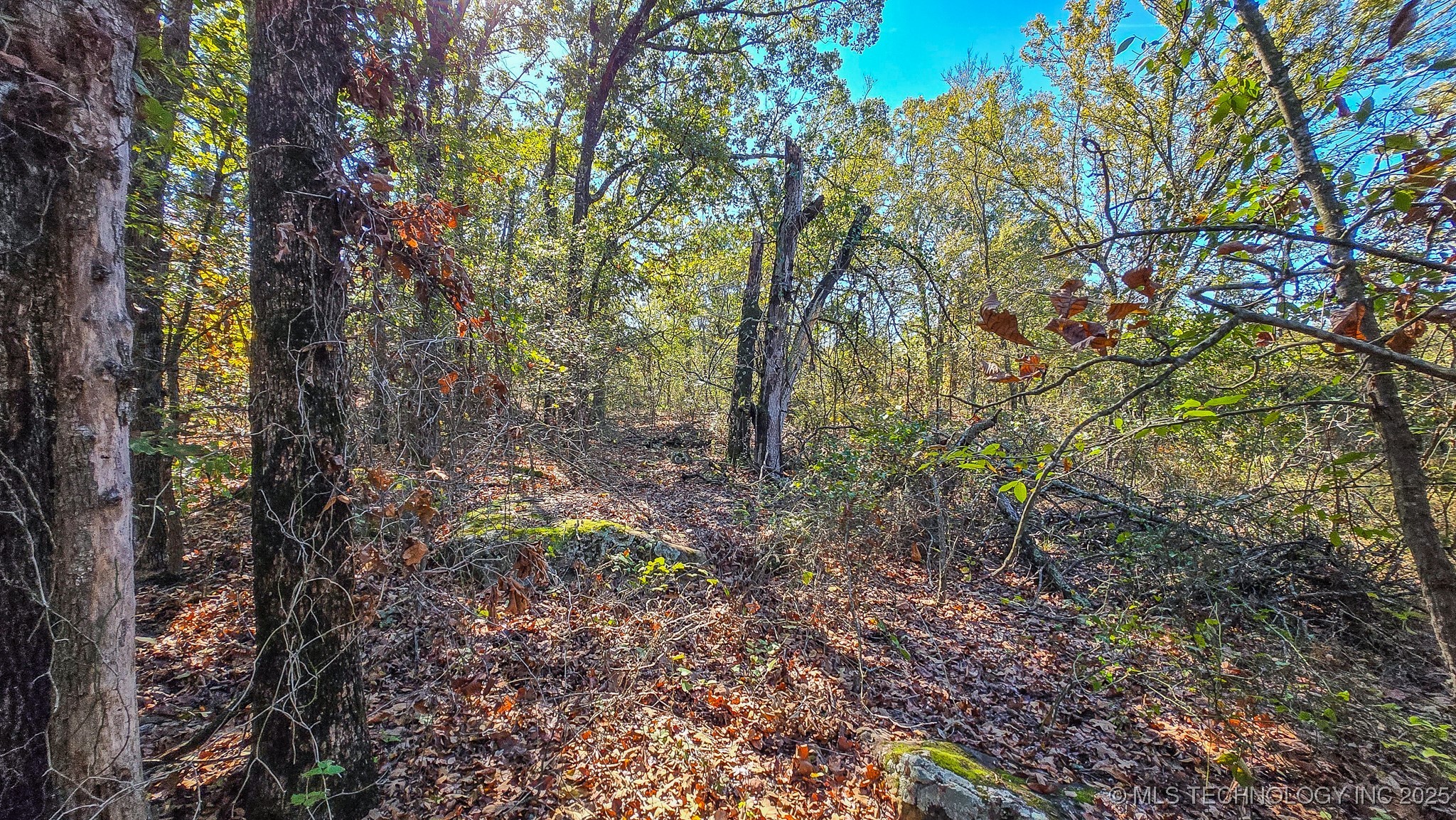 S 4270 Road Checotah OK 74426