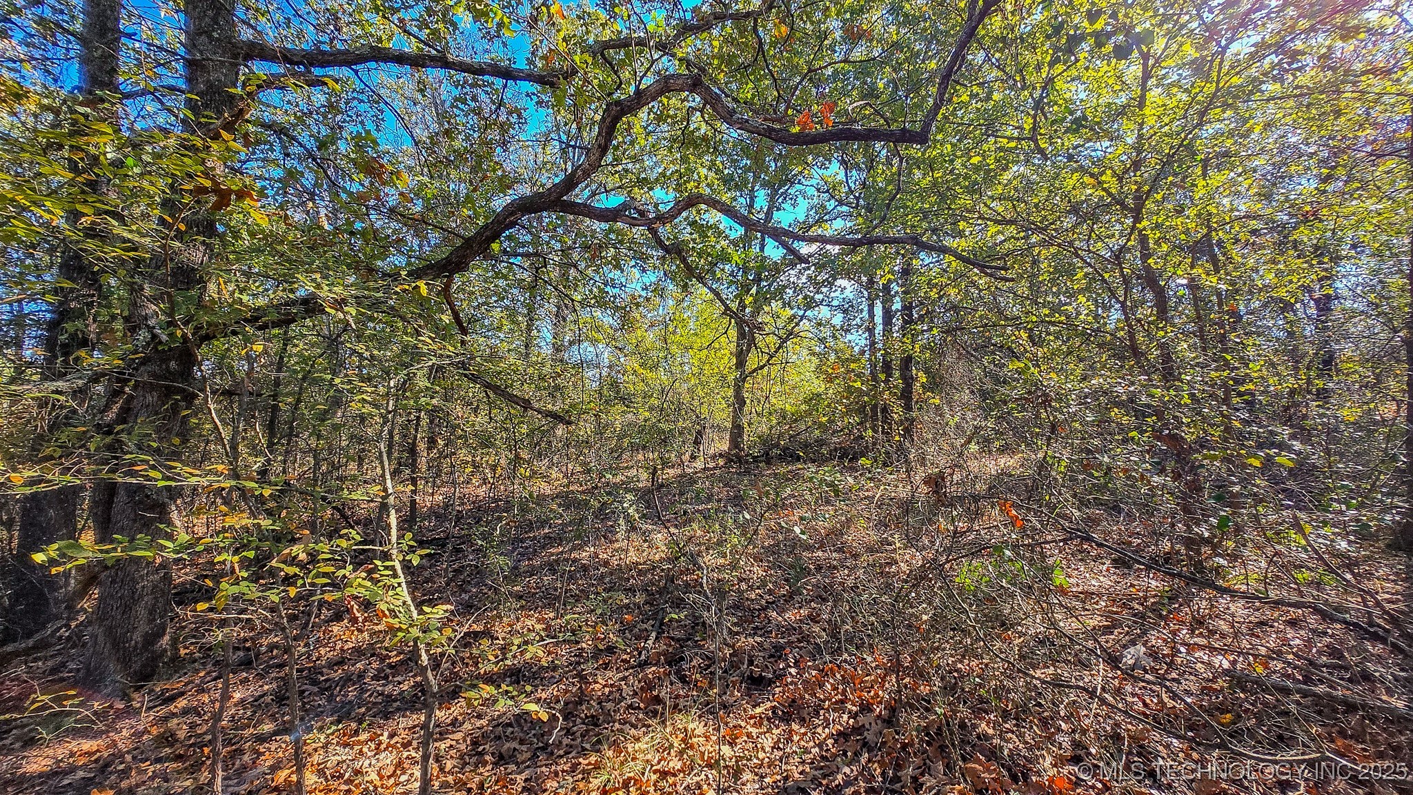 S 4270 Road Checotah OK 74426