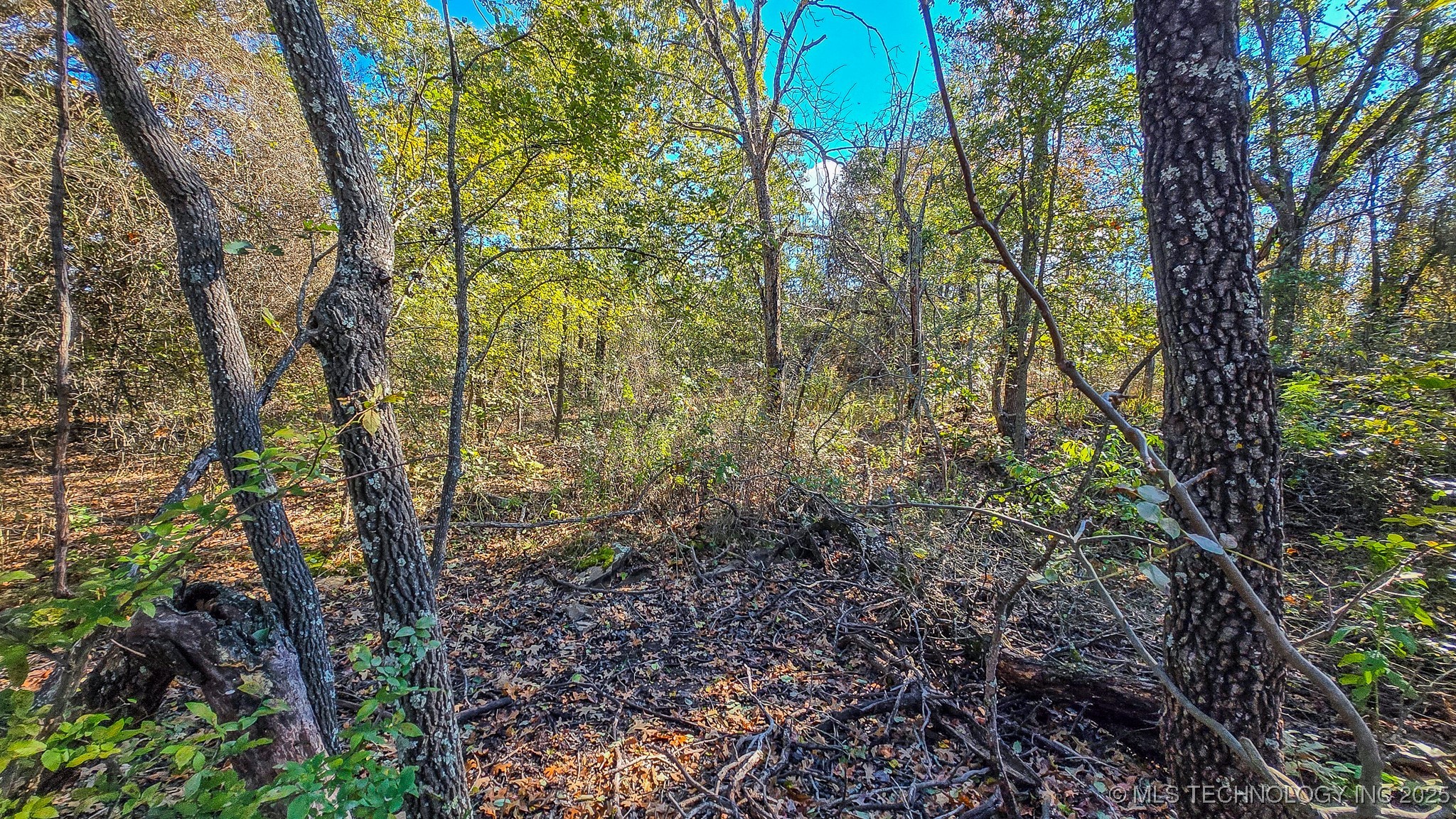 S 4270 Road Checotah OK 74426