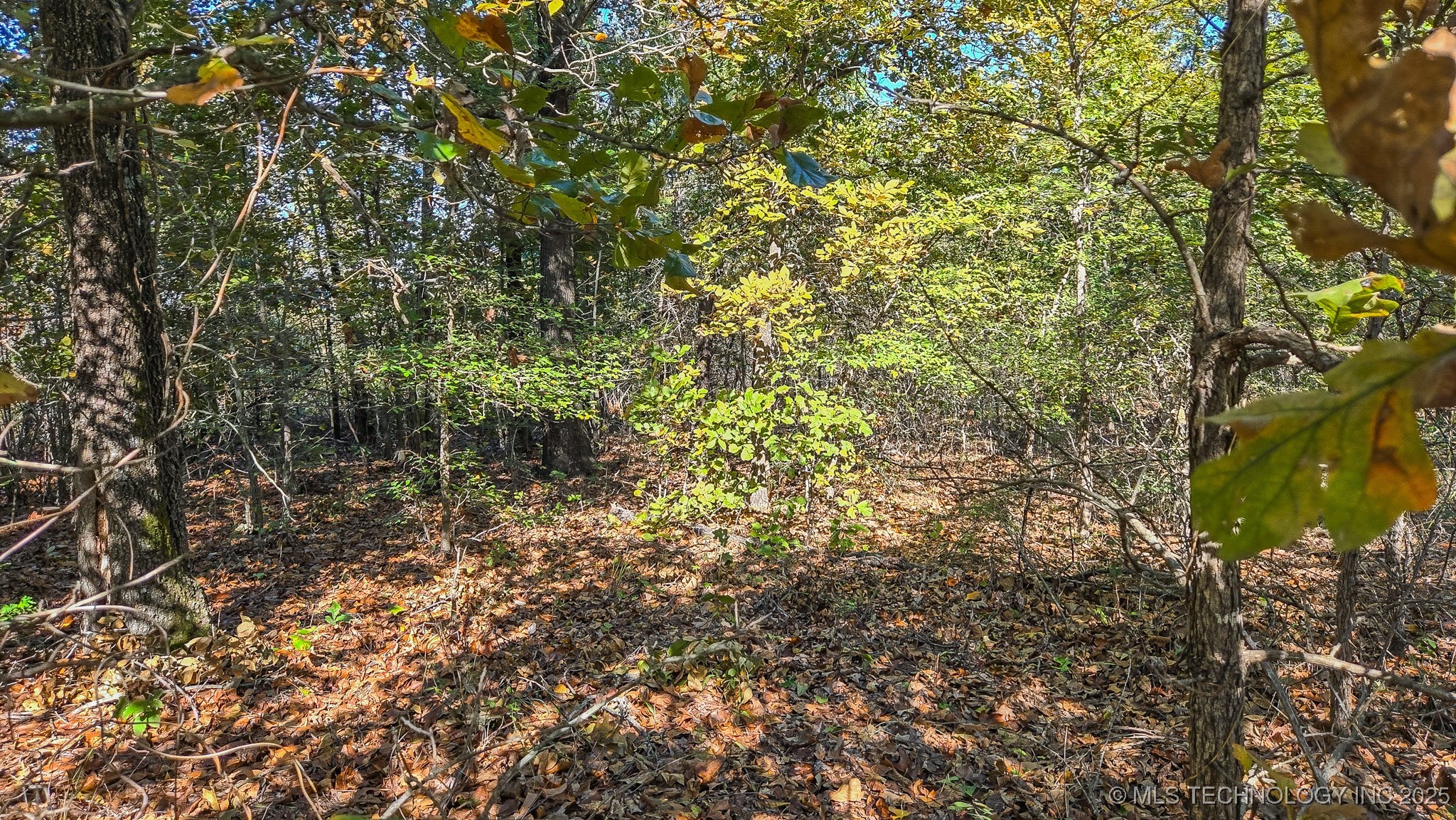 S 4270 Road Checotah OK 74426