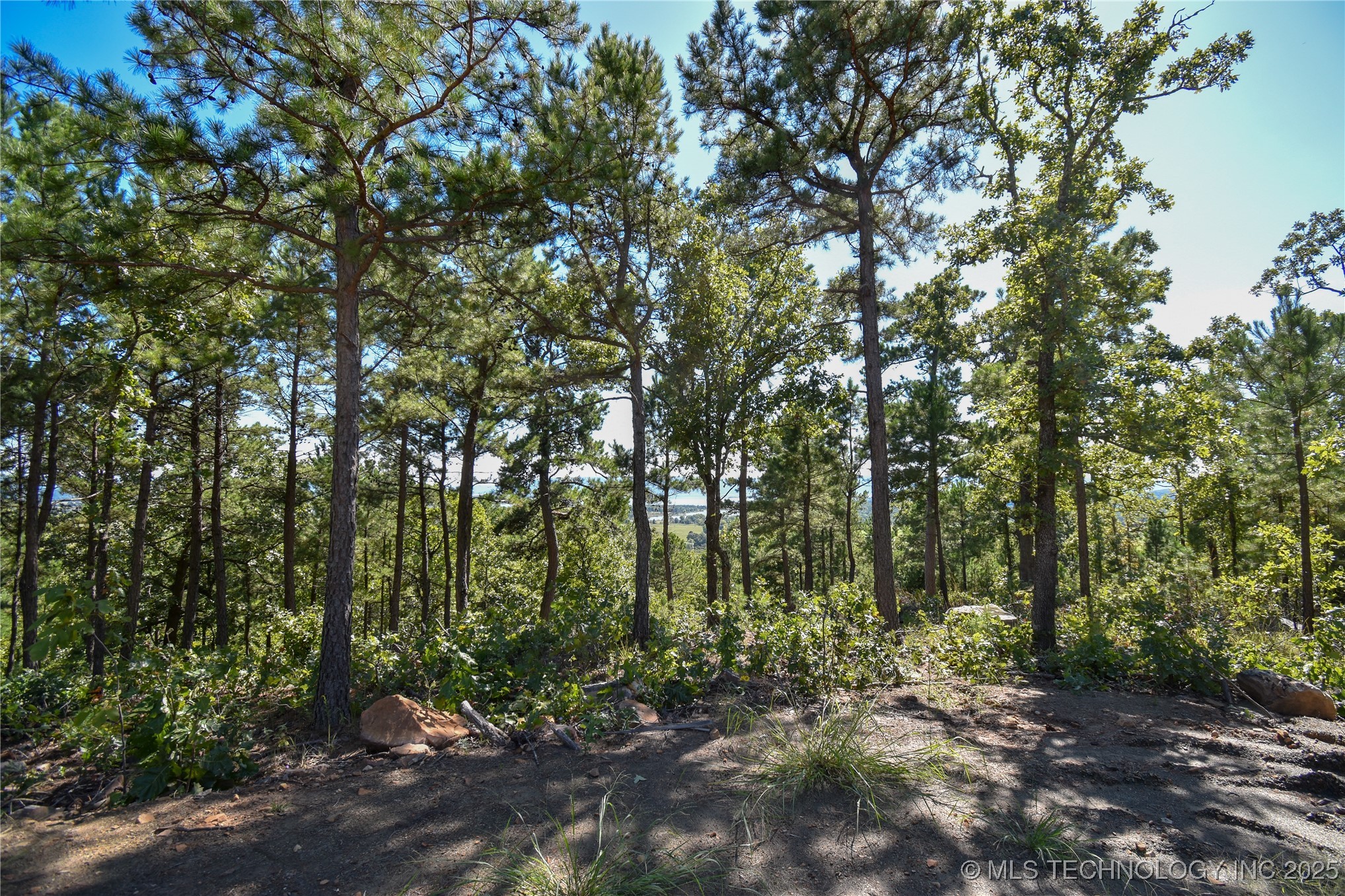 53 SW 235th Street Buffalo Valley OK 74571