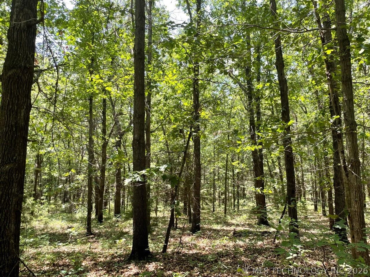 Lakeview Drive Sand Springs OK 74063