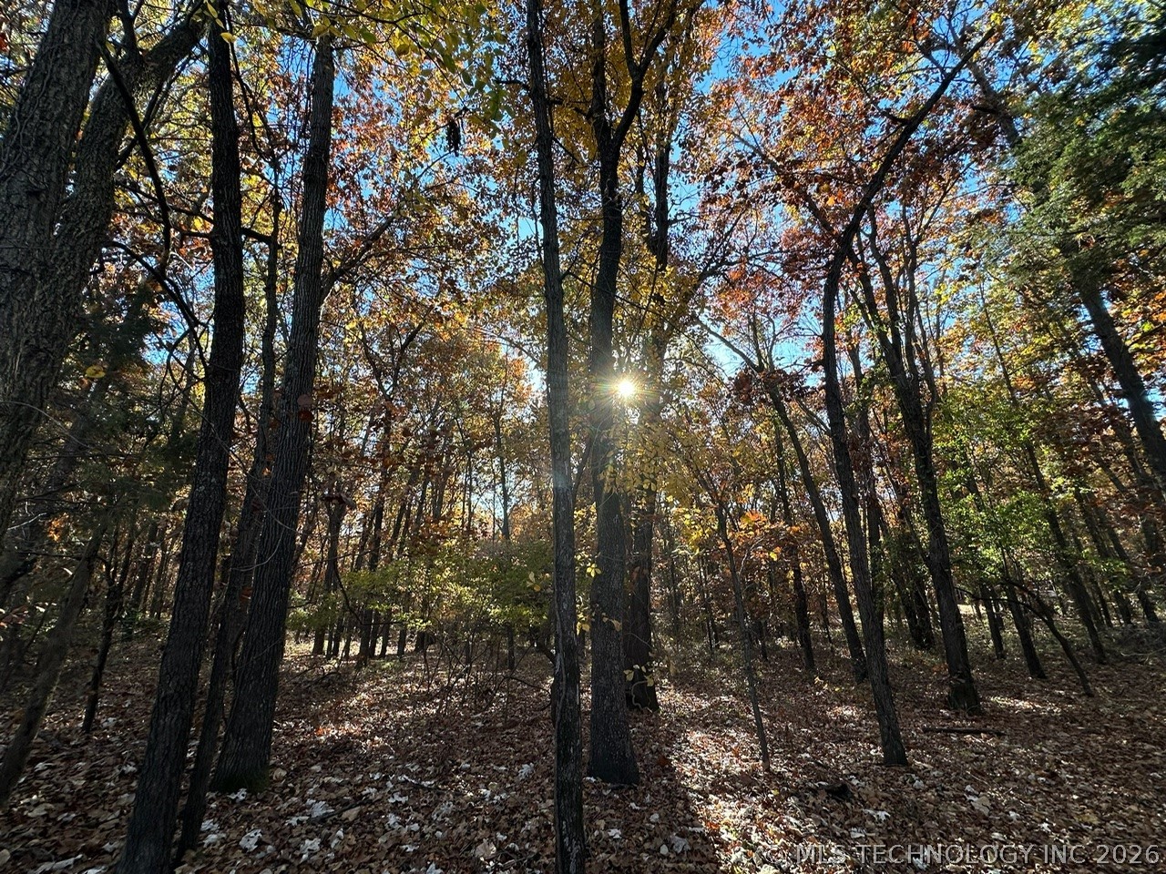 Lakeview Drive Sand Springs OK 74063
