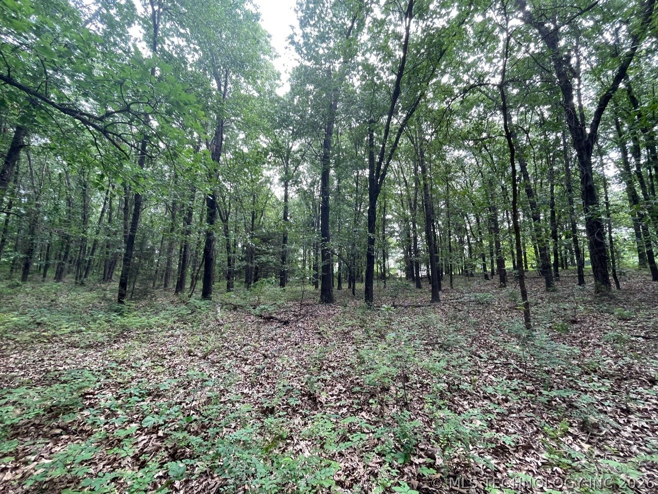 Lakeview Drive Sand Springs OK 74063