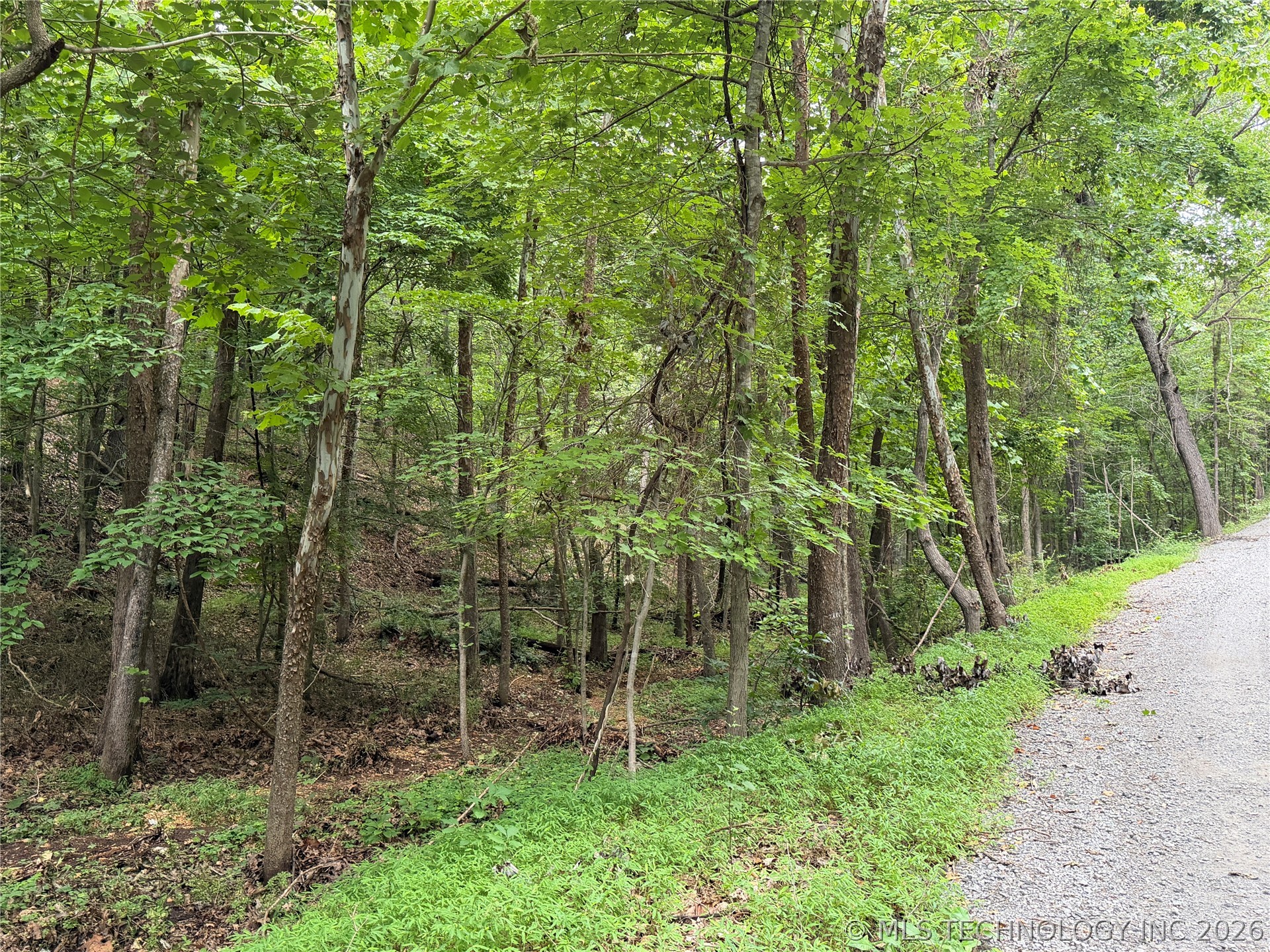 Pine Ridge Drive Tahlequah OK 74464
