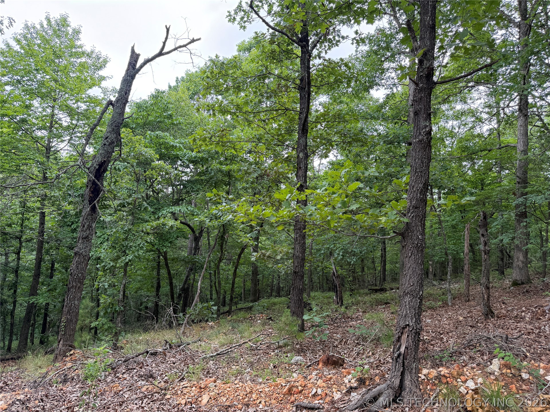Pine Ridge Drive Tahlequah OK 74464