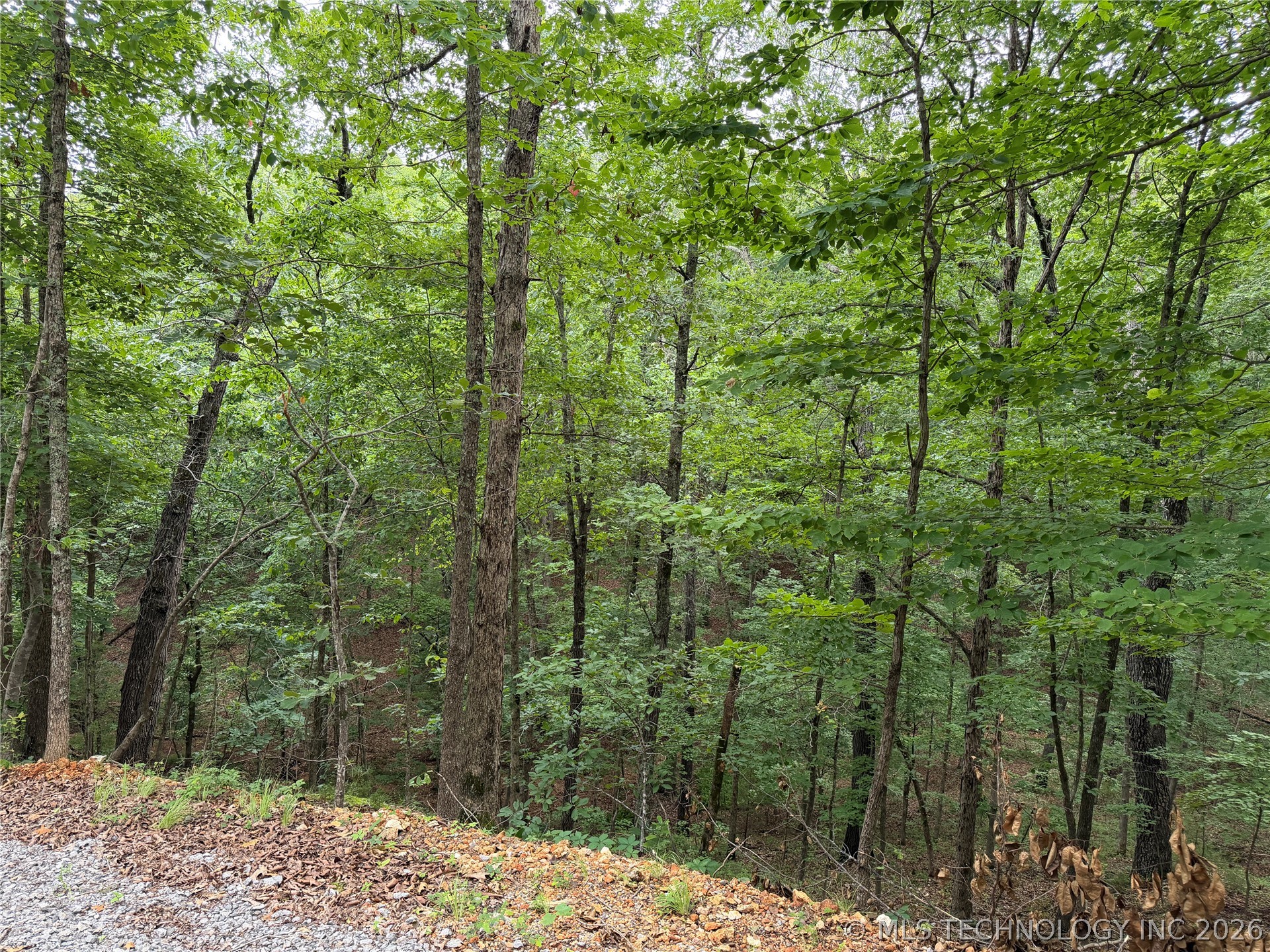 Pine Ridge Drive Tahlequah OK 74464