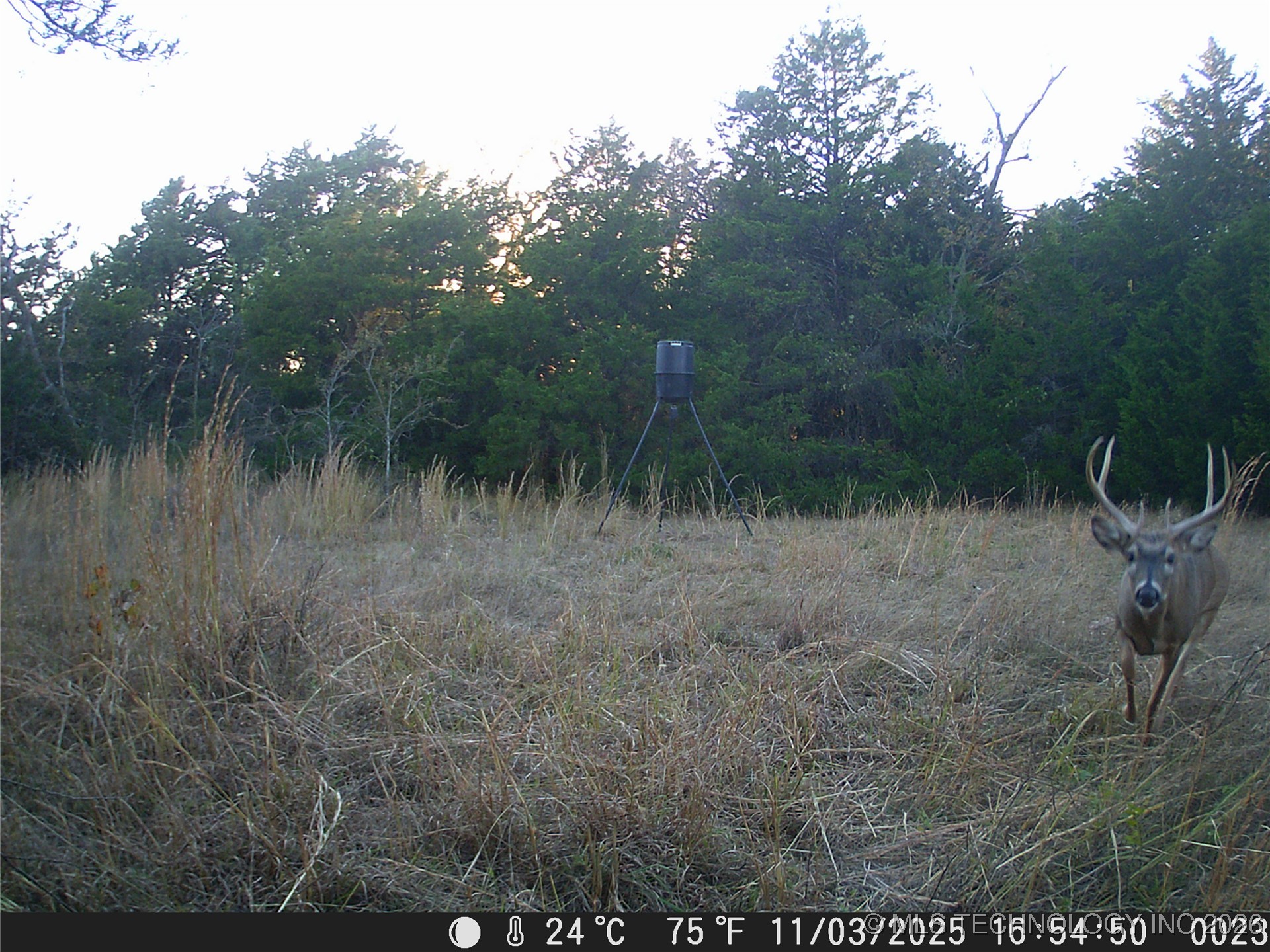 Cabiness Mcalester OK 74501