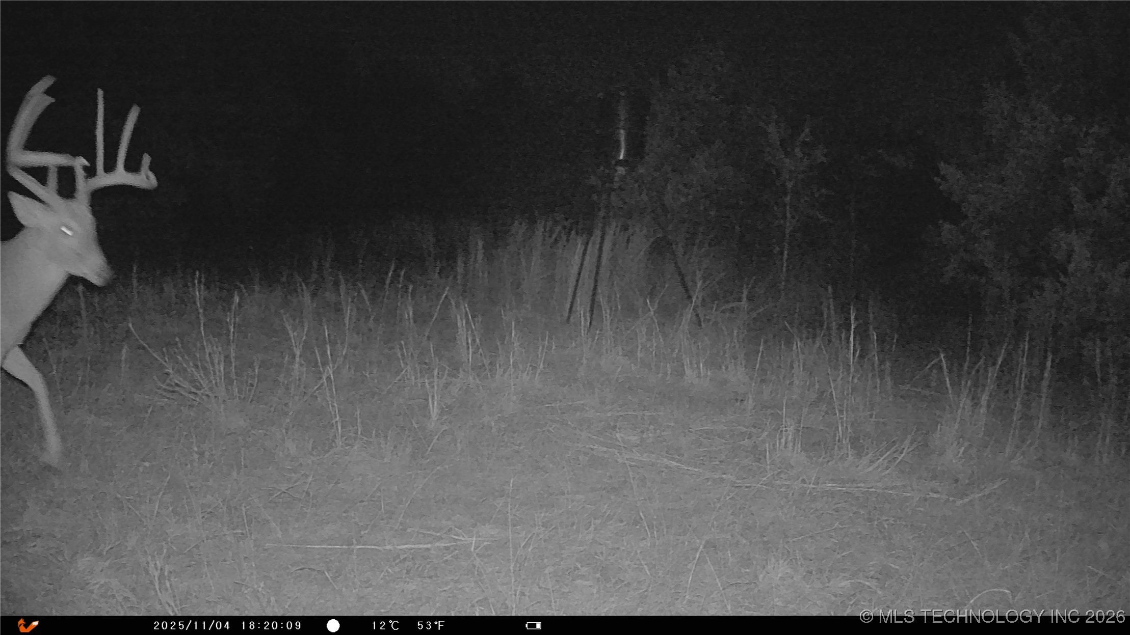 Cabiness Mcalester OK 74501