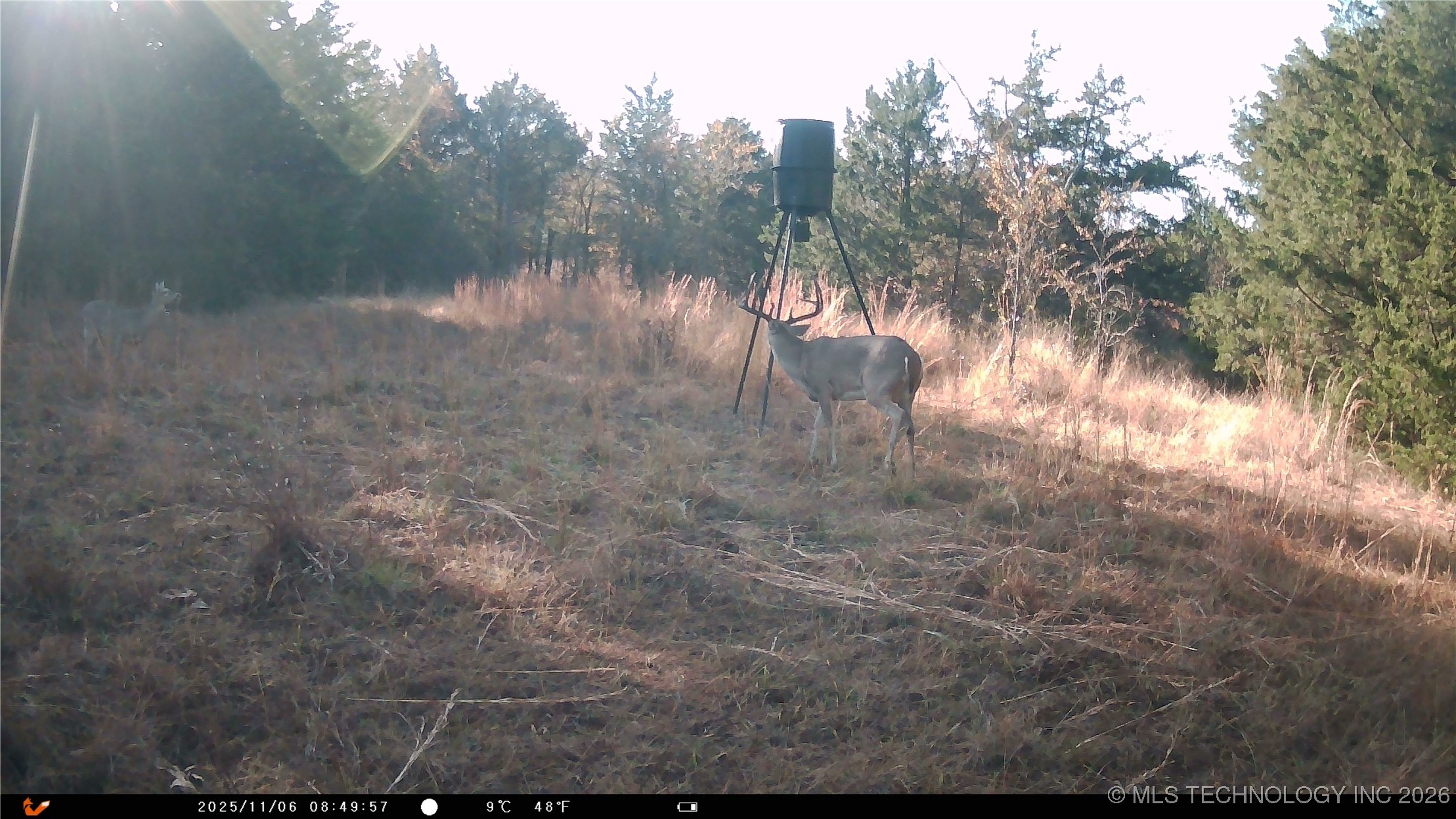 Cabiness Mcalester OK 74501