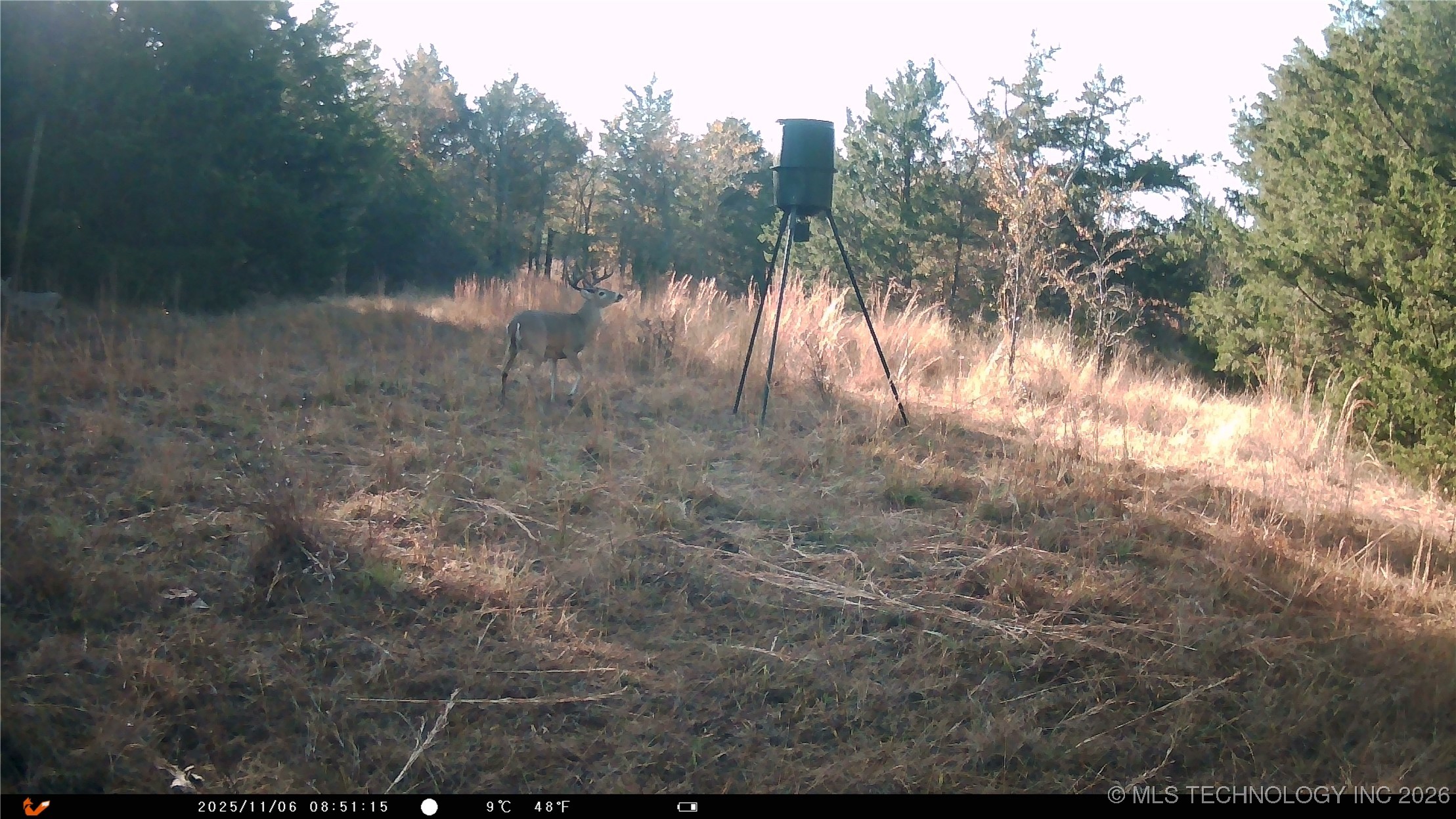 Cabiness Mcalester OK 74501