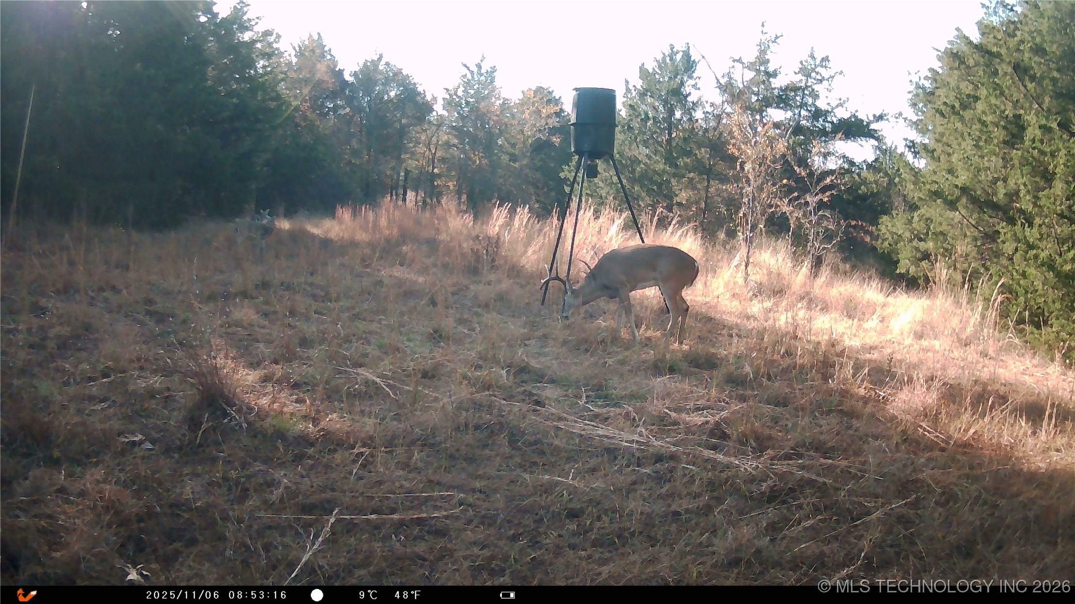Cabiness Mcalester OK 74501