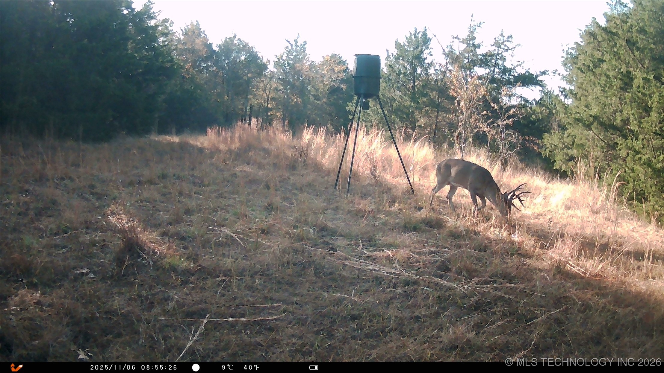 Cabiness Mcalester OK 74501