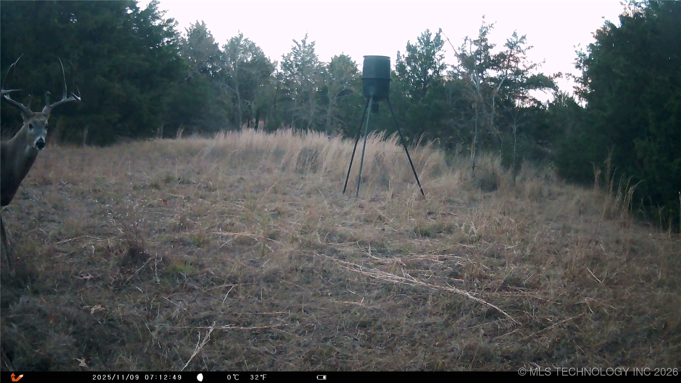 Cabiness Mcalester OK 74501