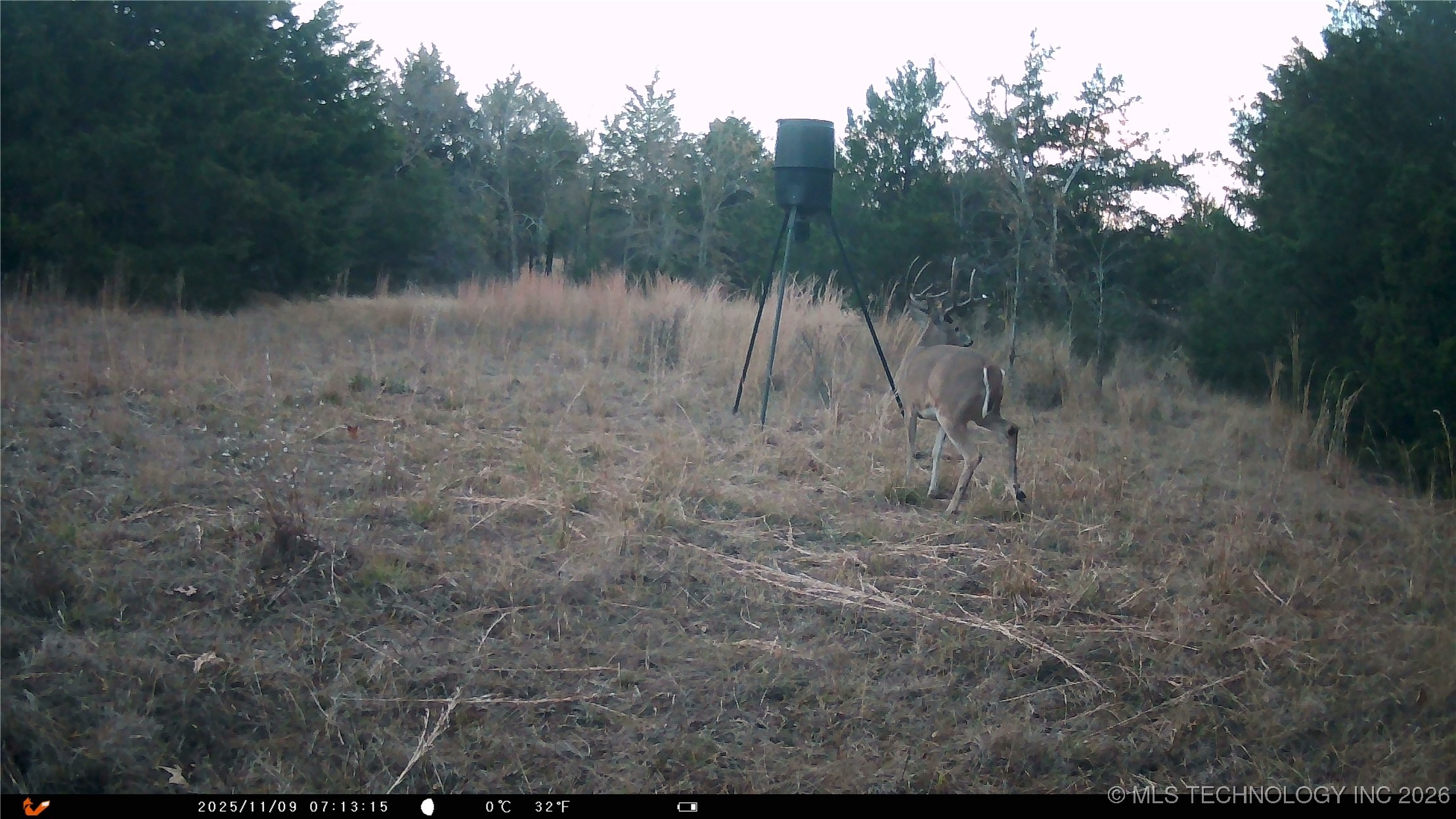 Cabiness Mcalester OK 74501