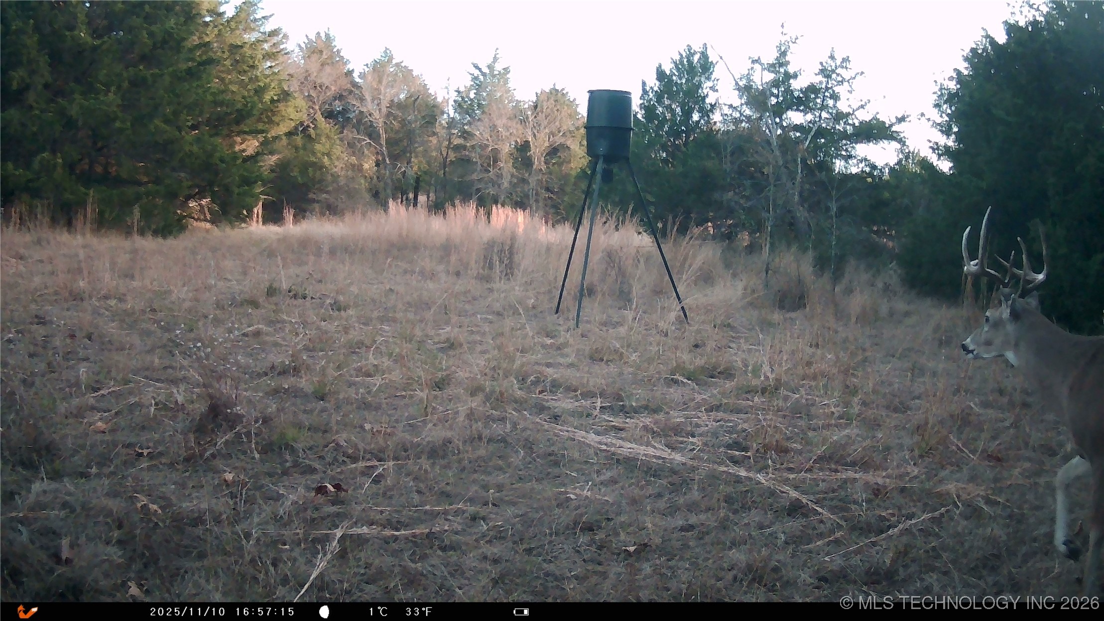 Cabiness Mcalester OK 74501