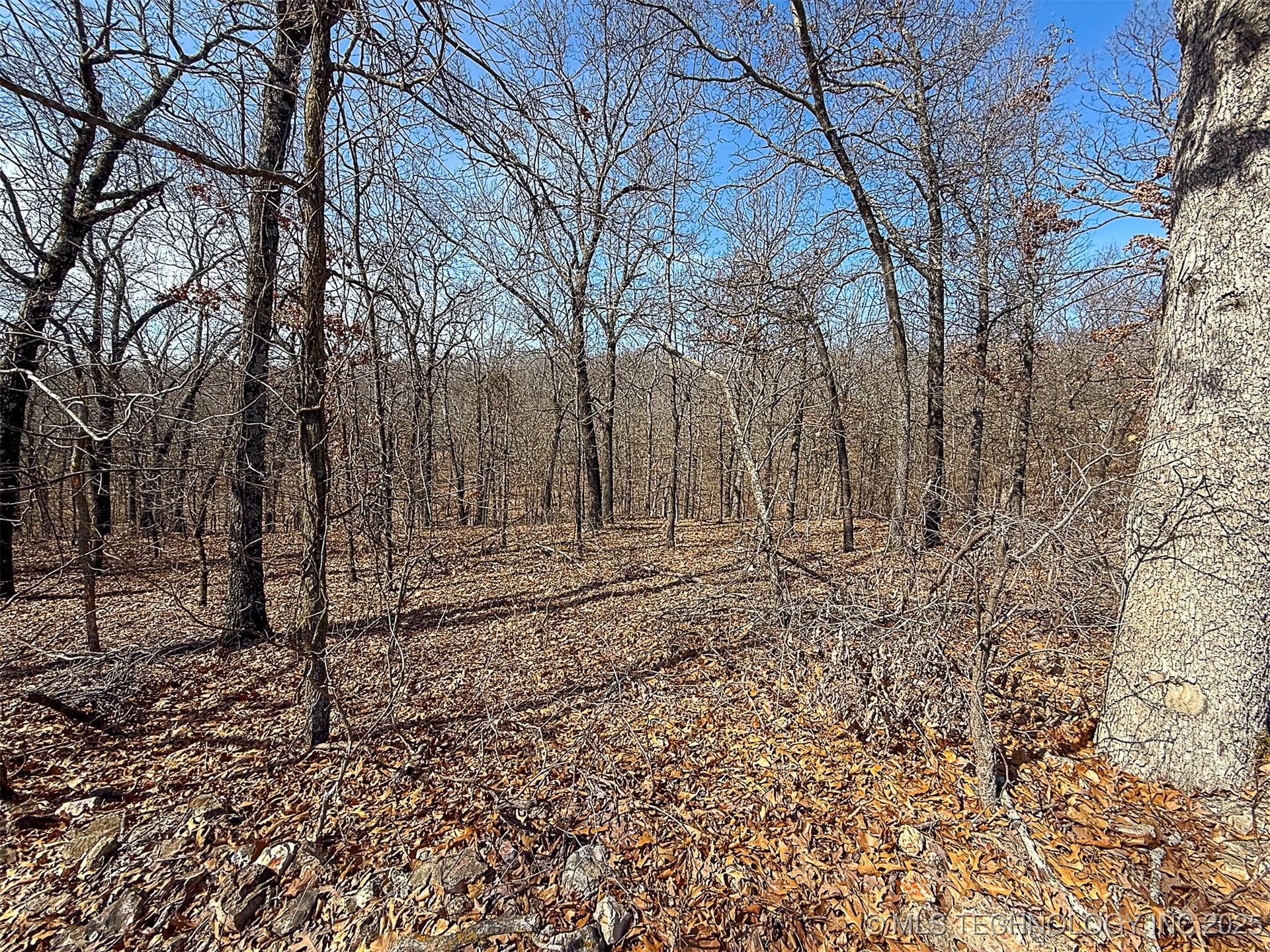 Redbud Loop Afton OK 74331