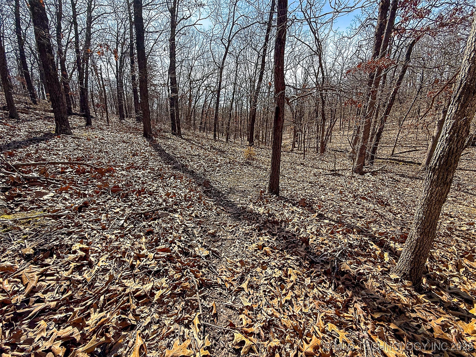Redbud Loop Afton OK 74331
