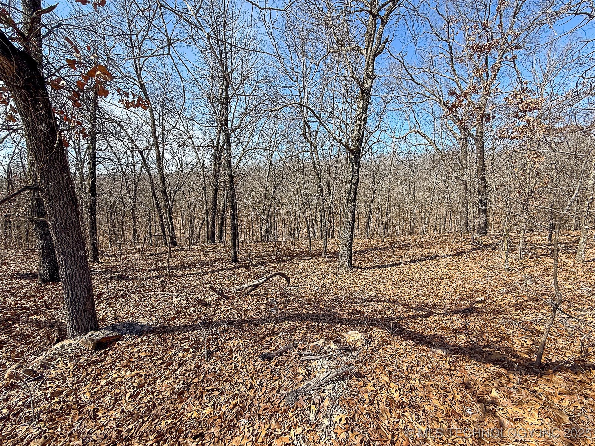 Redbud Loop Afton OK 74331