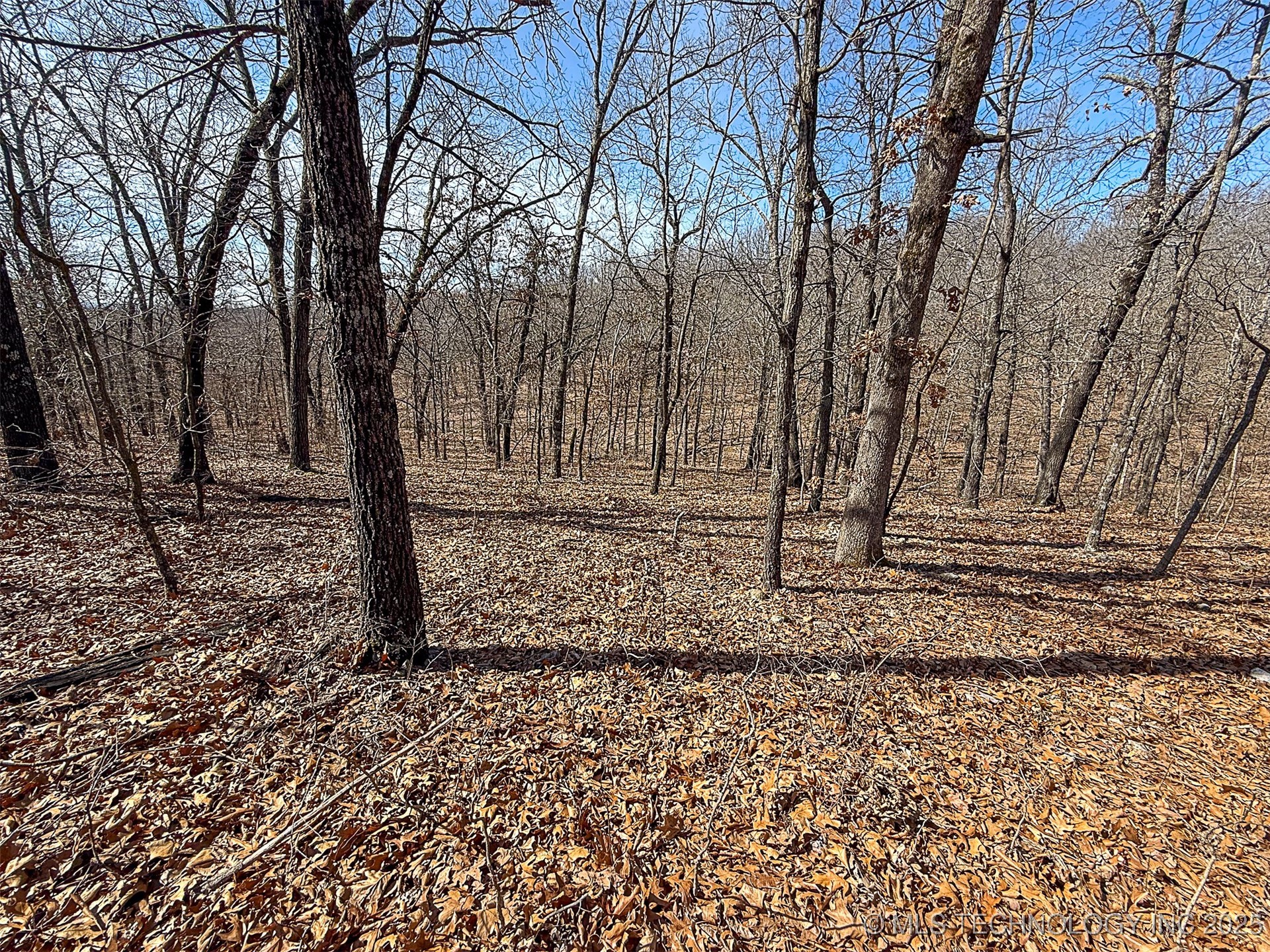Redbud Loop Afton OK 74331