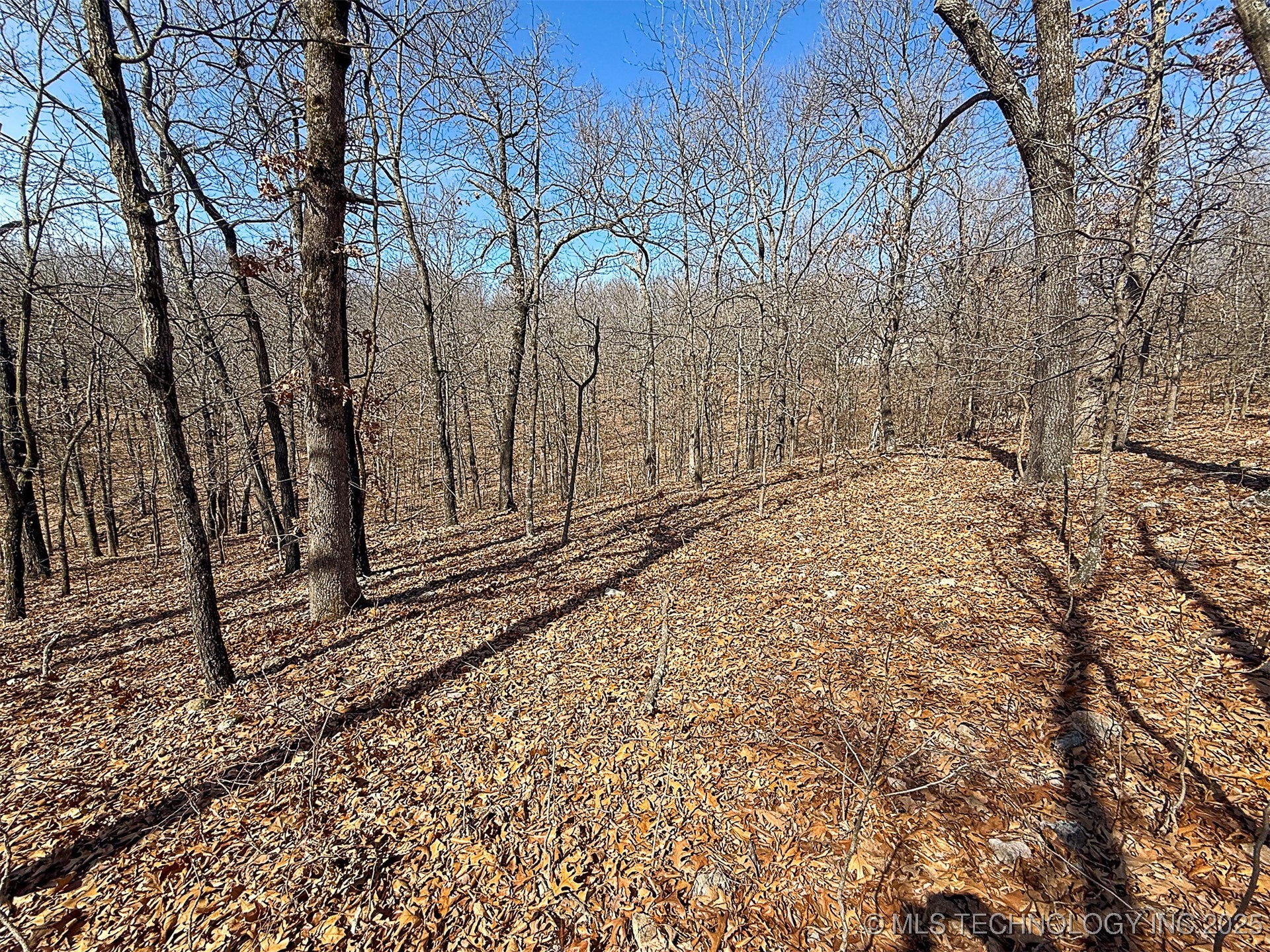 Redbud Loop Afton OK 74331