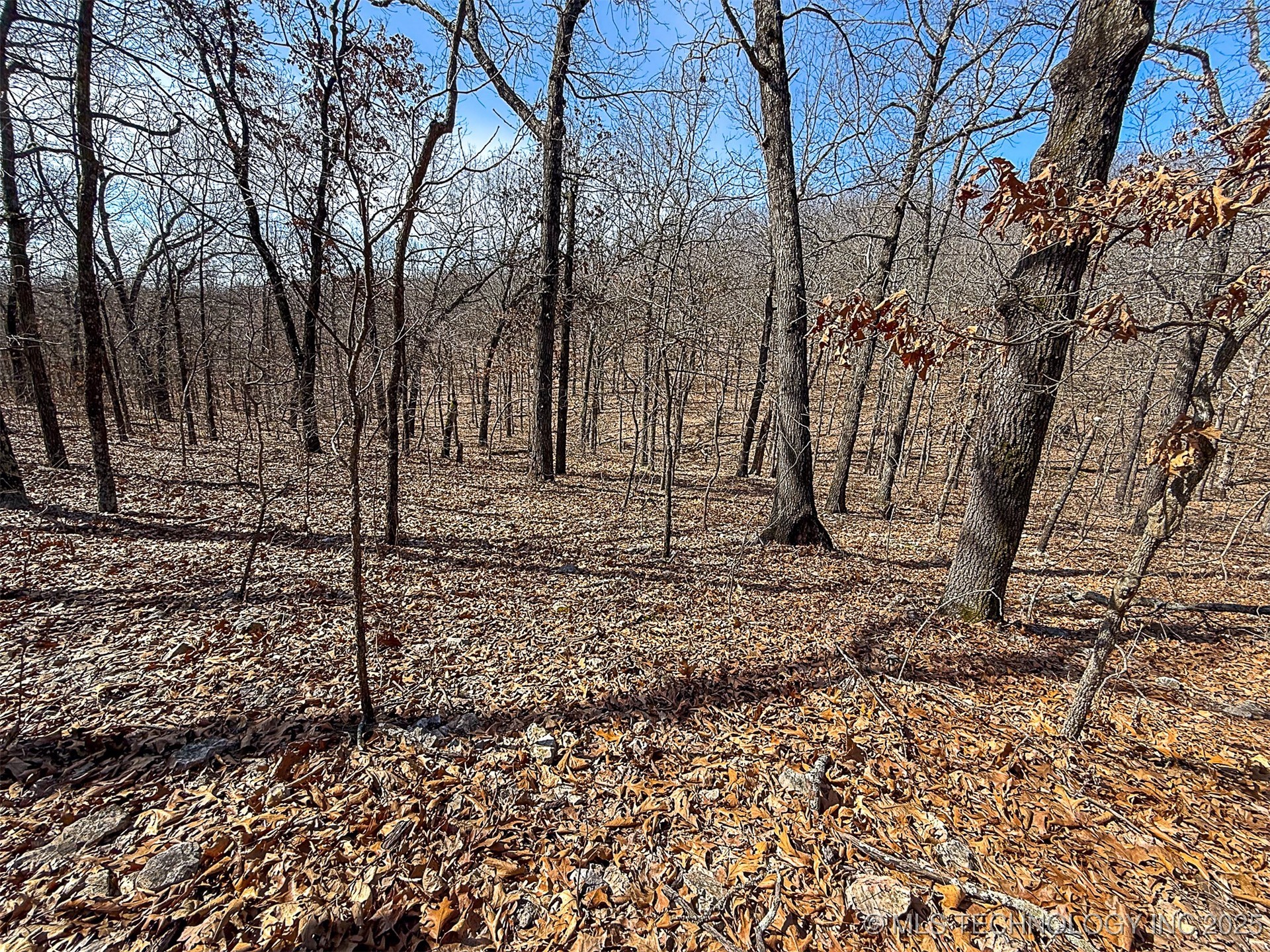 Redbud Loop Afton OK 74331