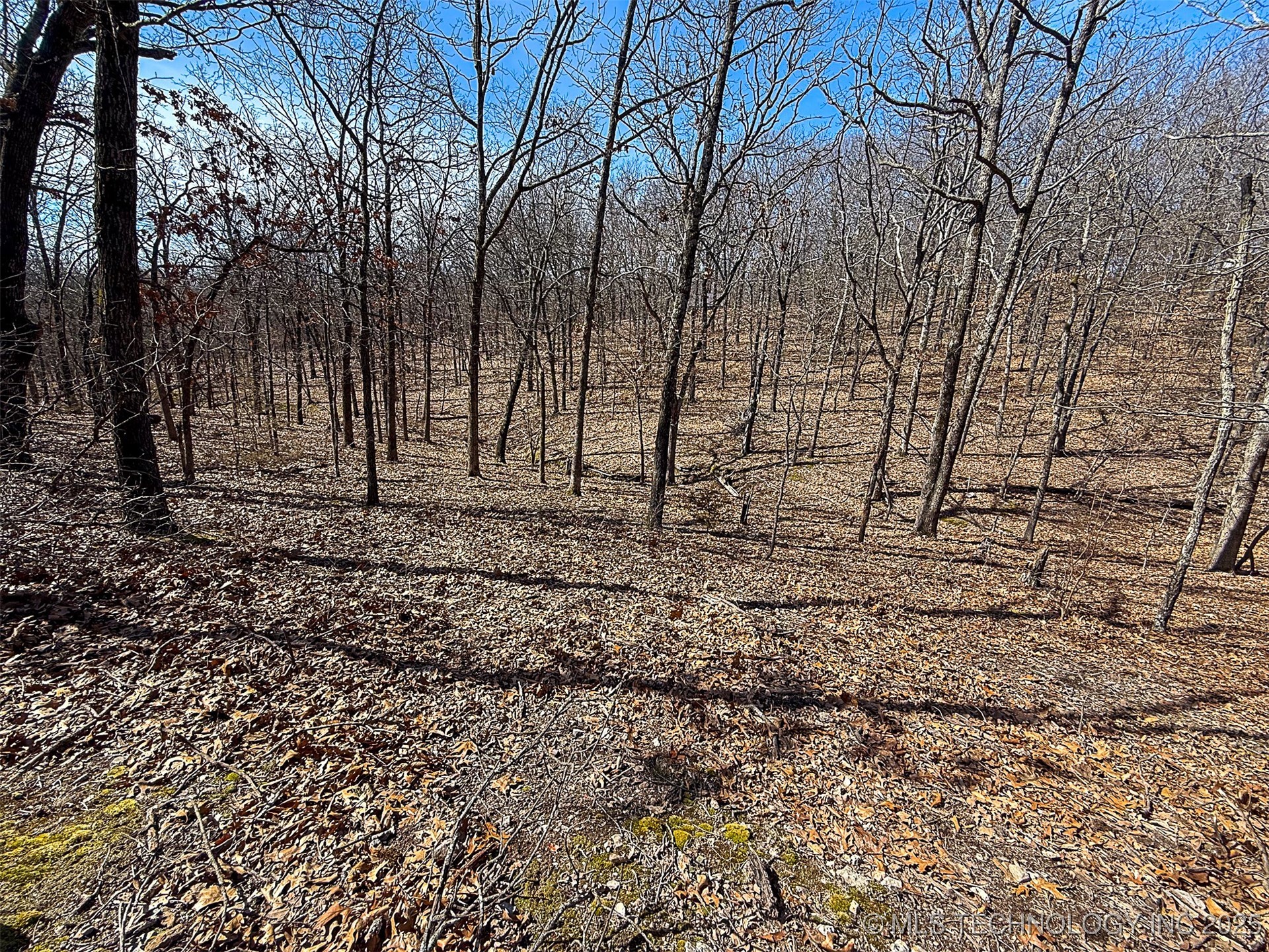 Redbud Loop Afton OK 74331