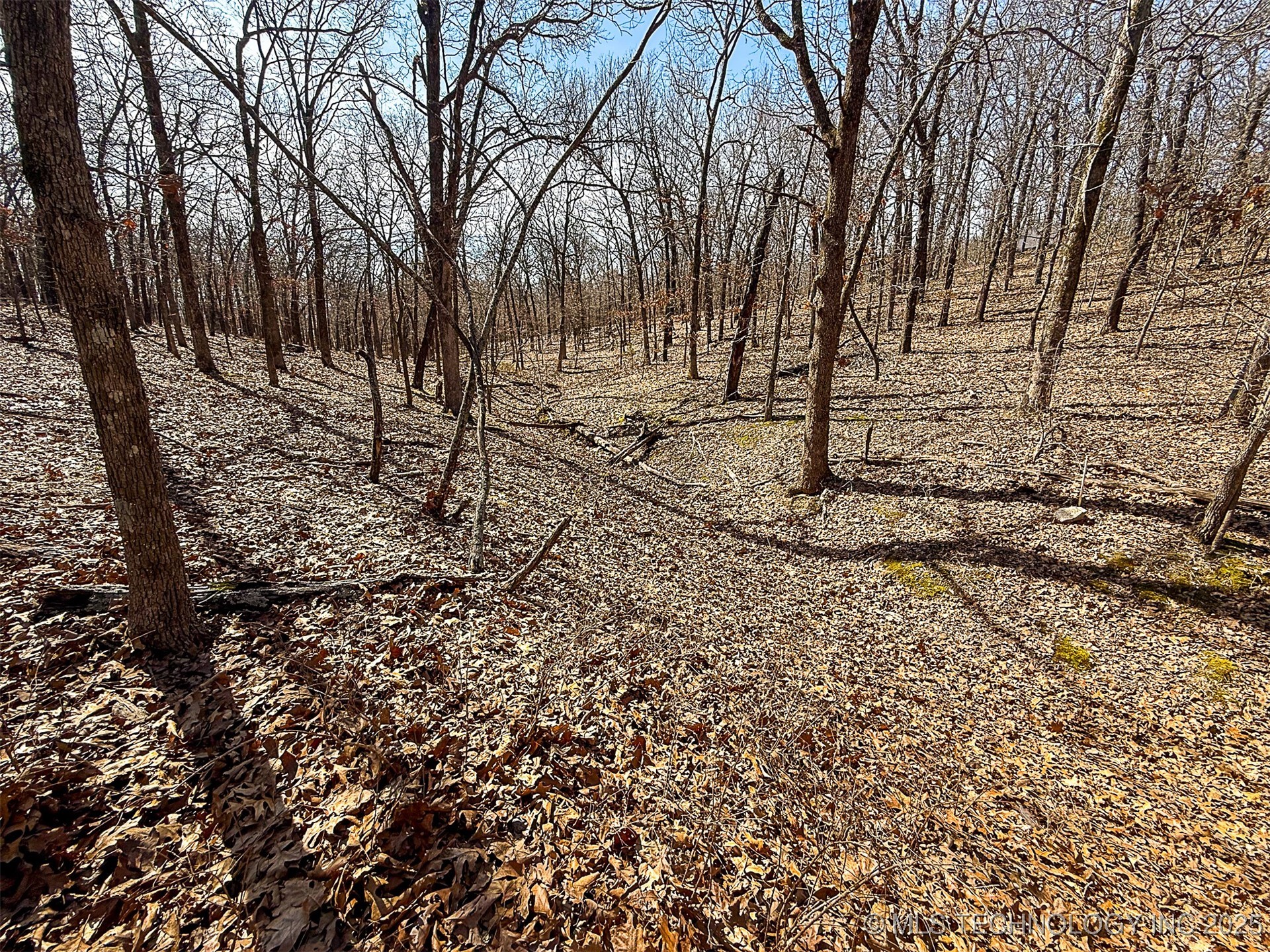 Redbud Loop Afton OK 74331