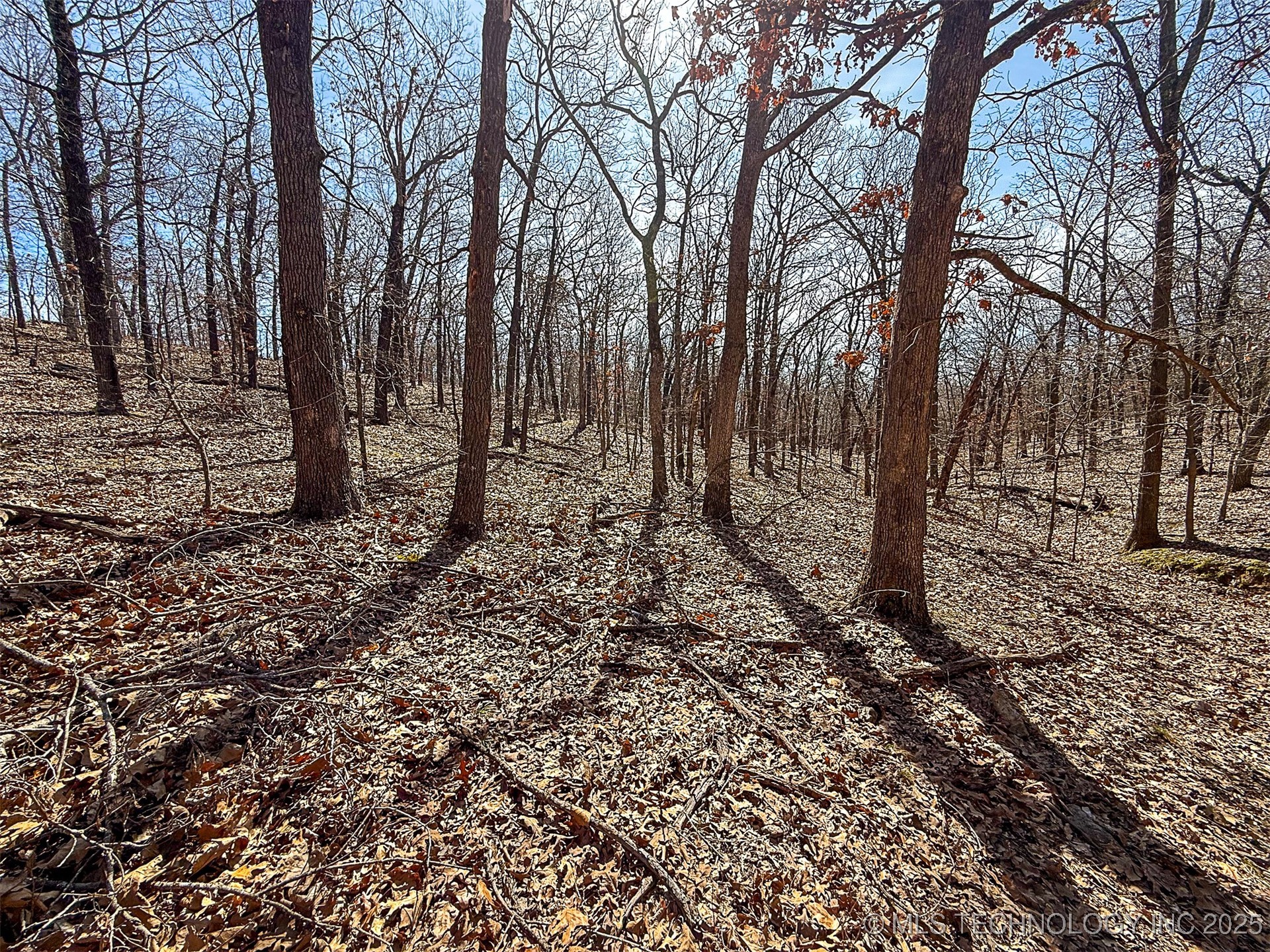 Redbud Loop Afton OK 74331