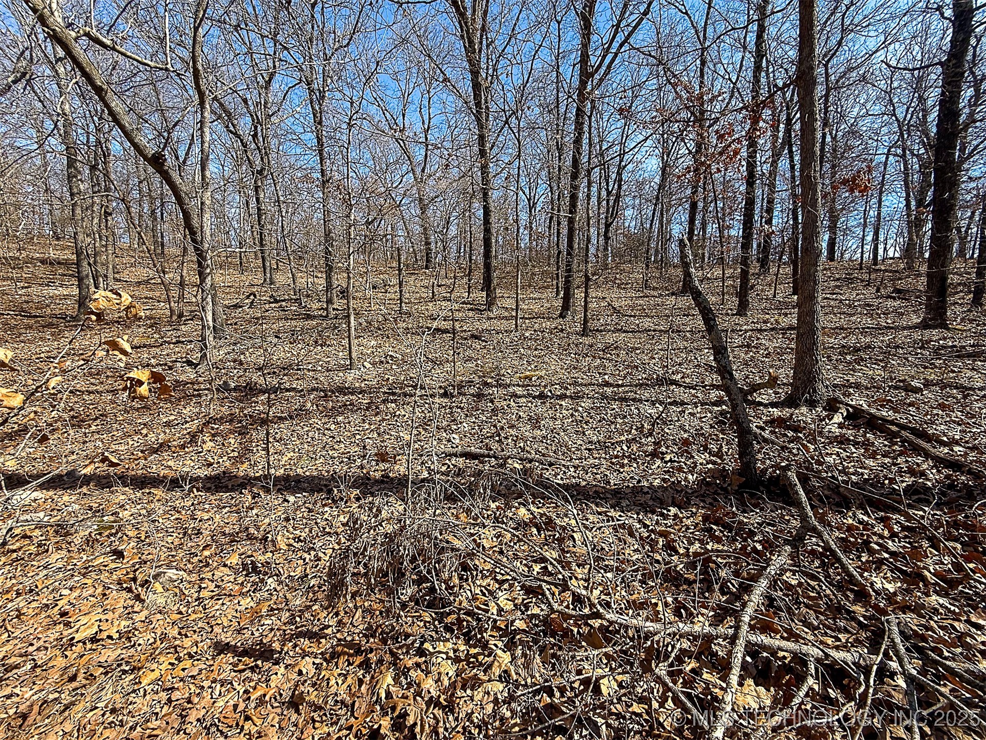 Redbud Loop Afton OK 74331