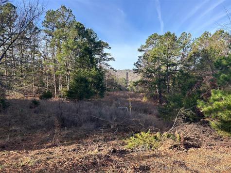 4 Hulsey Prairie Panola OK 74559