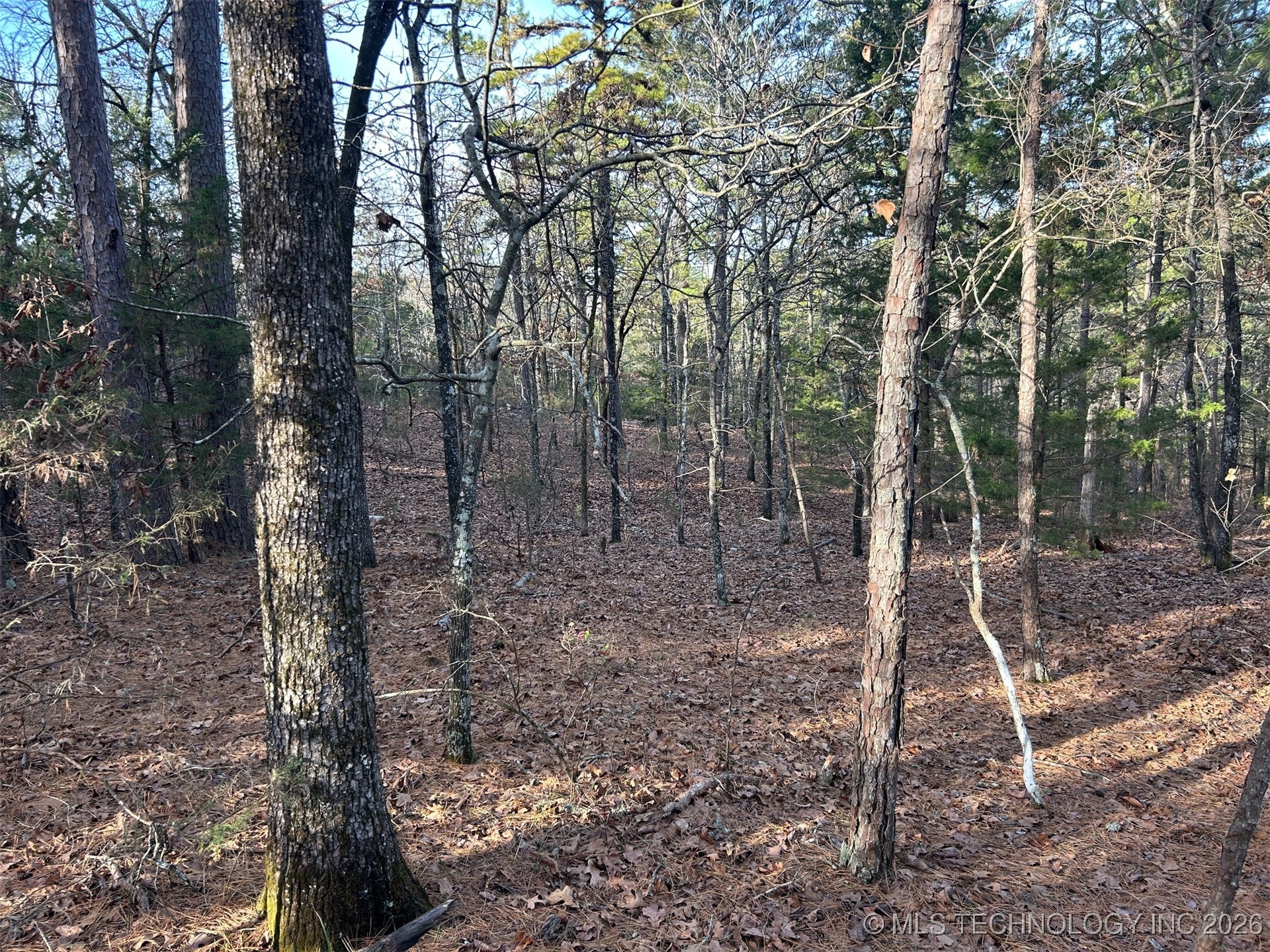 4 Hulsey Prairie Panola OK 74559
