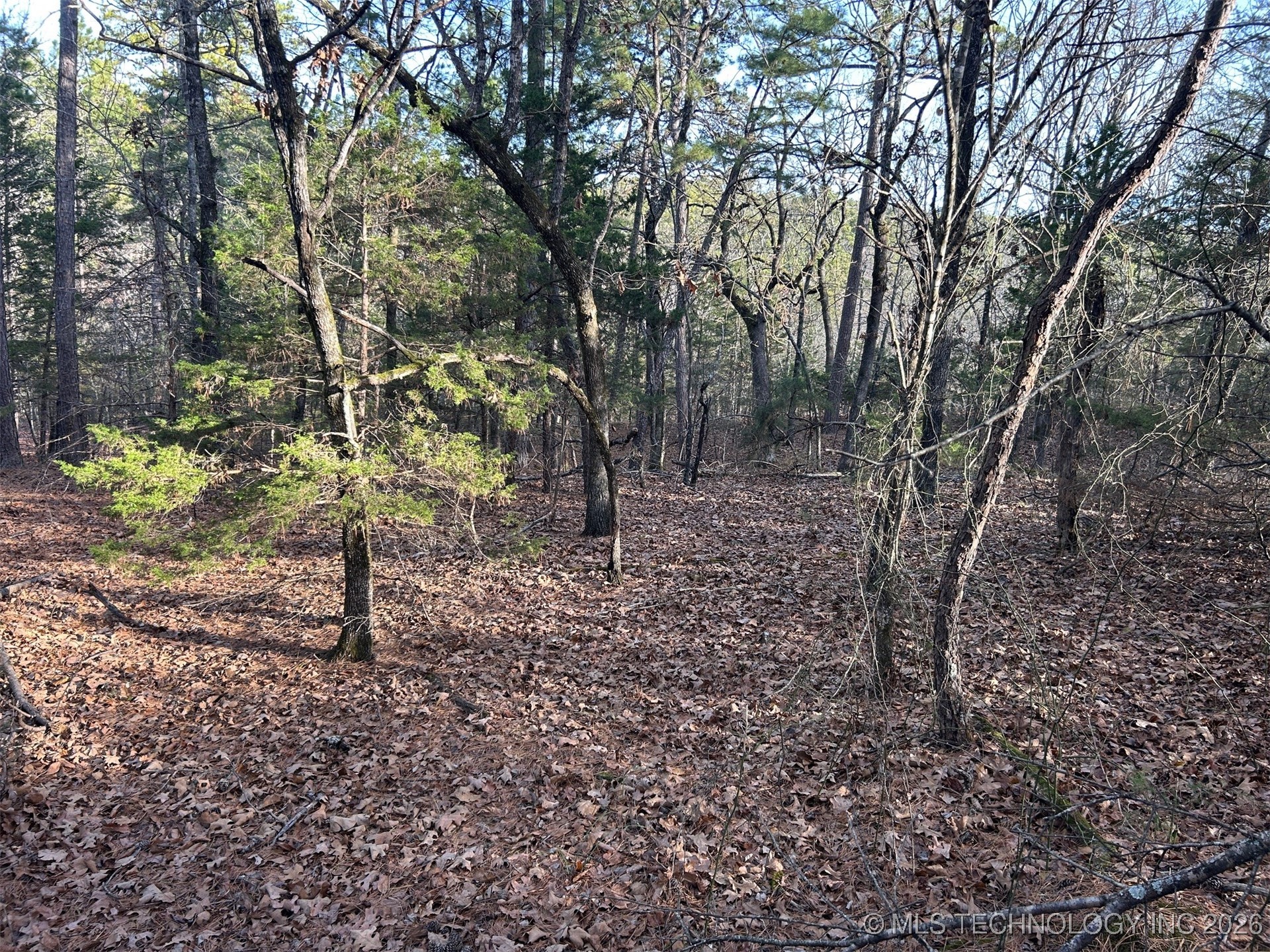 4 Hulsey Prairie Panola OK 74559