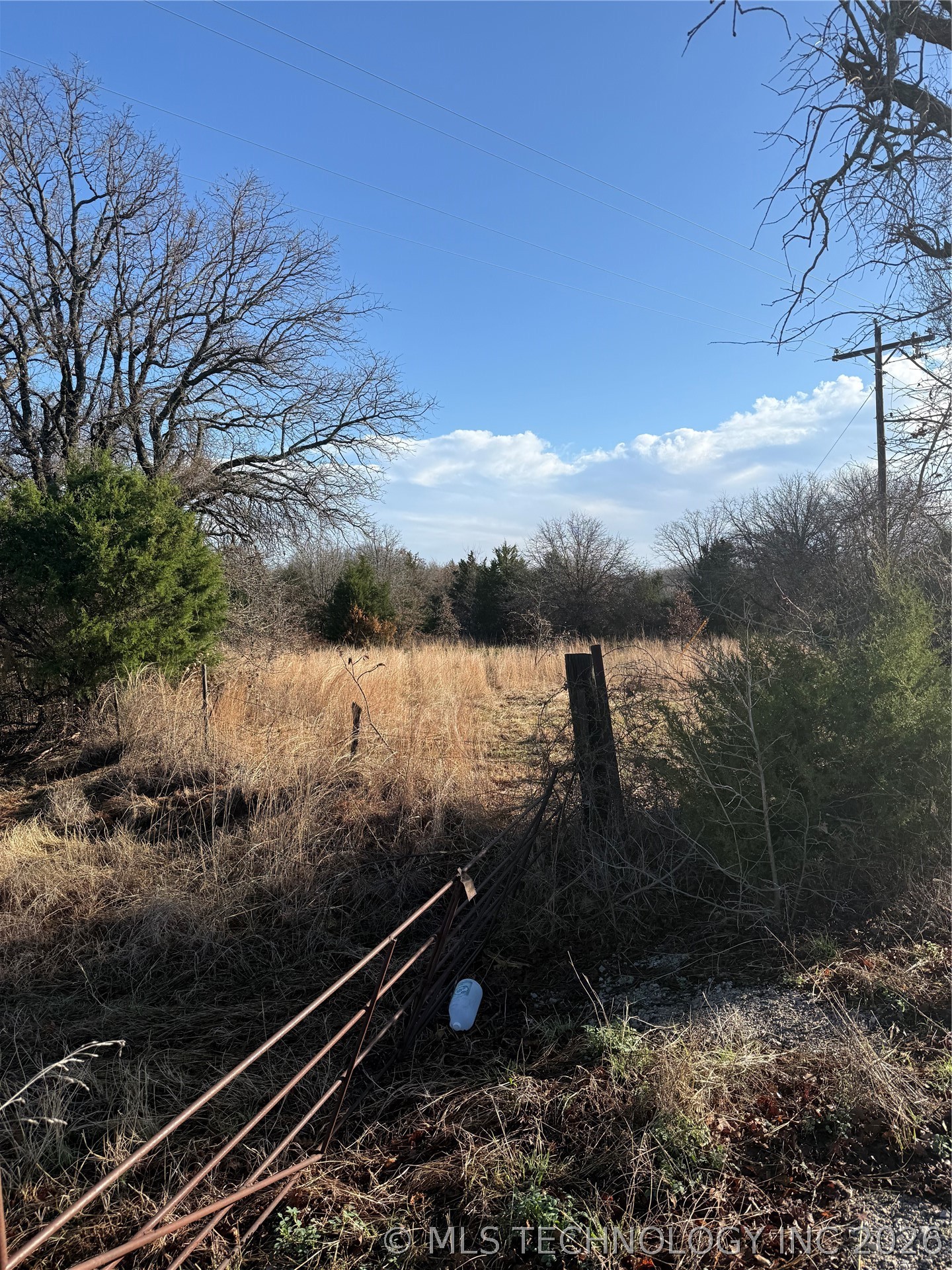 Cheek Lone Grove OK 73443