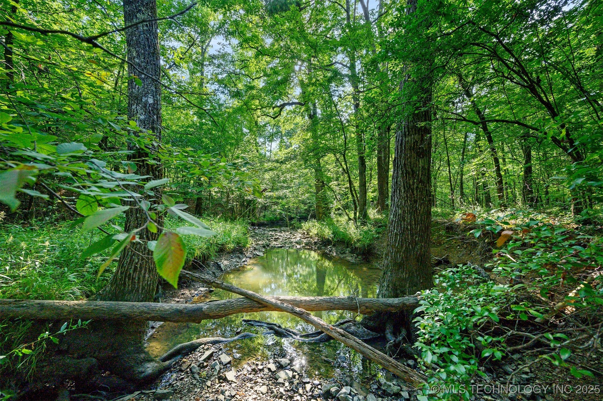 66 Aged Acacia Trail Broken Bow OK 74728