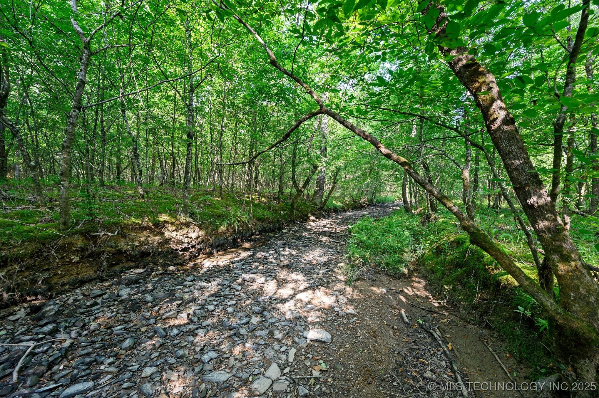 66 Aged Acacia Trail Broken Bow OK 74728