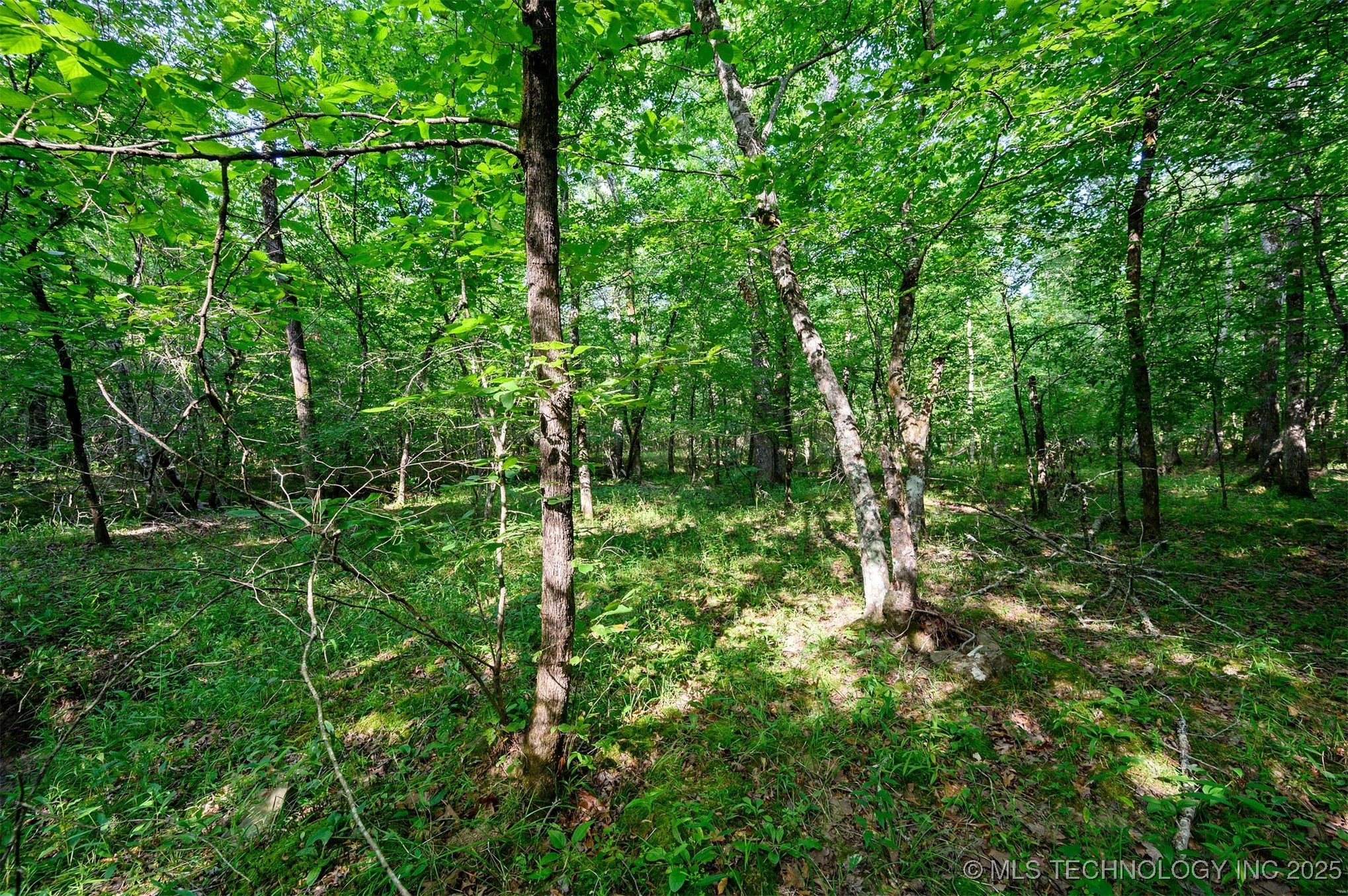66 Aged Acacia Trail Broken Bow OK 74728