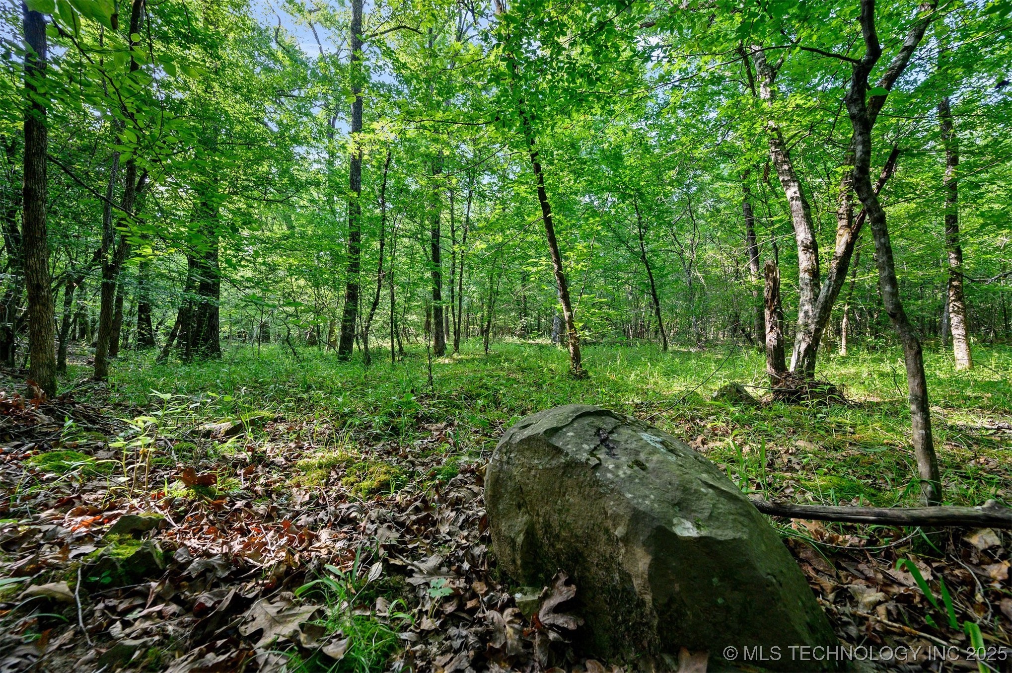 66 Aged Acacia Trail Broken Bow OK 74728