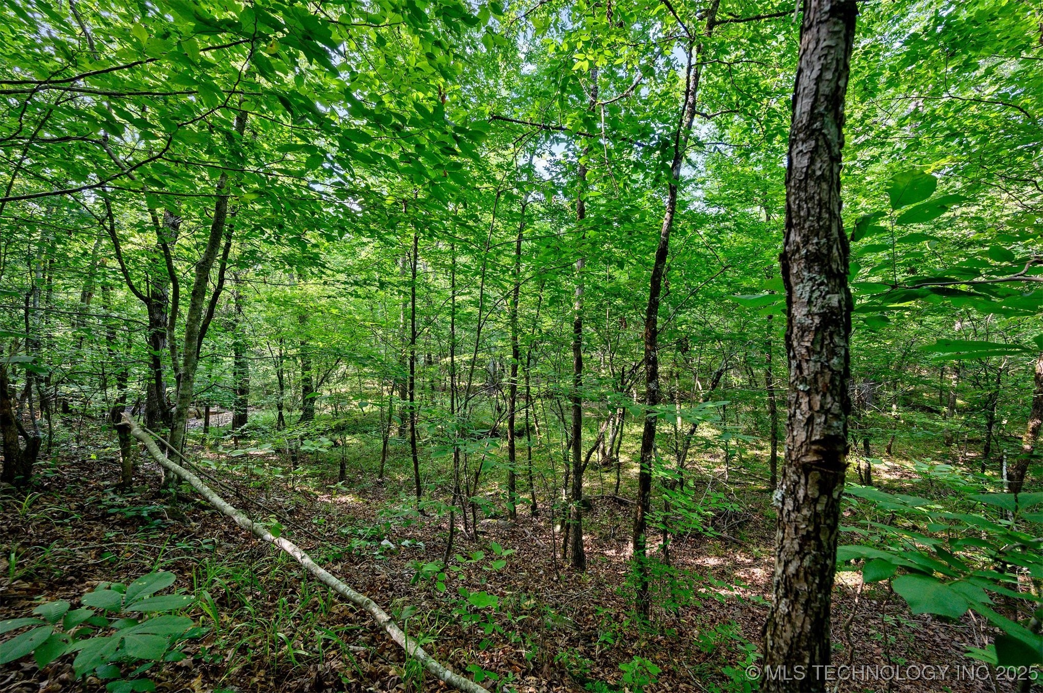 66 Aged Acacia Trail Broken Bow OK 74728
