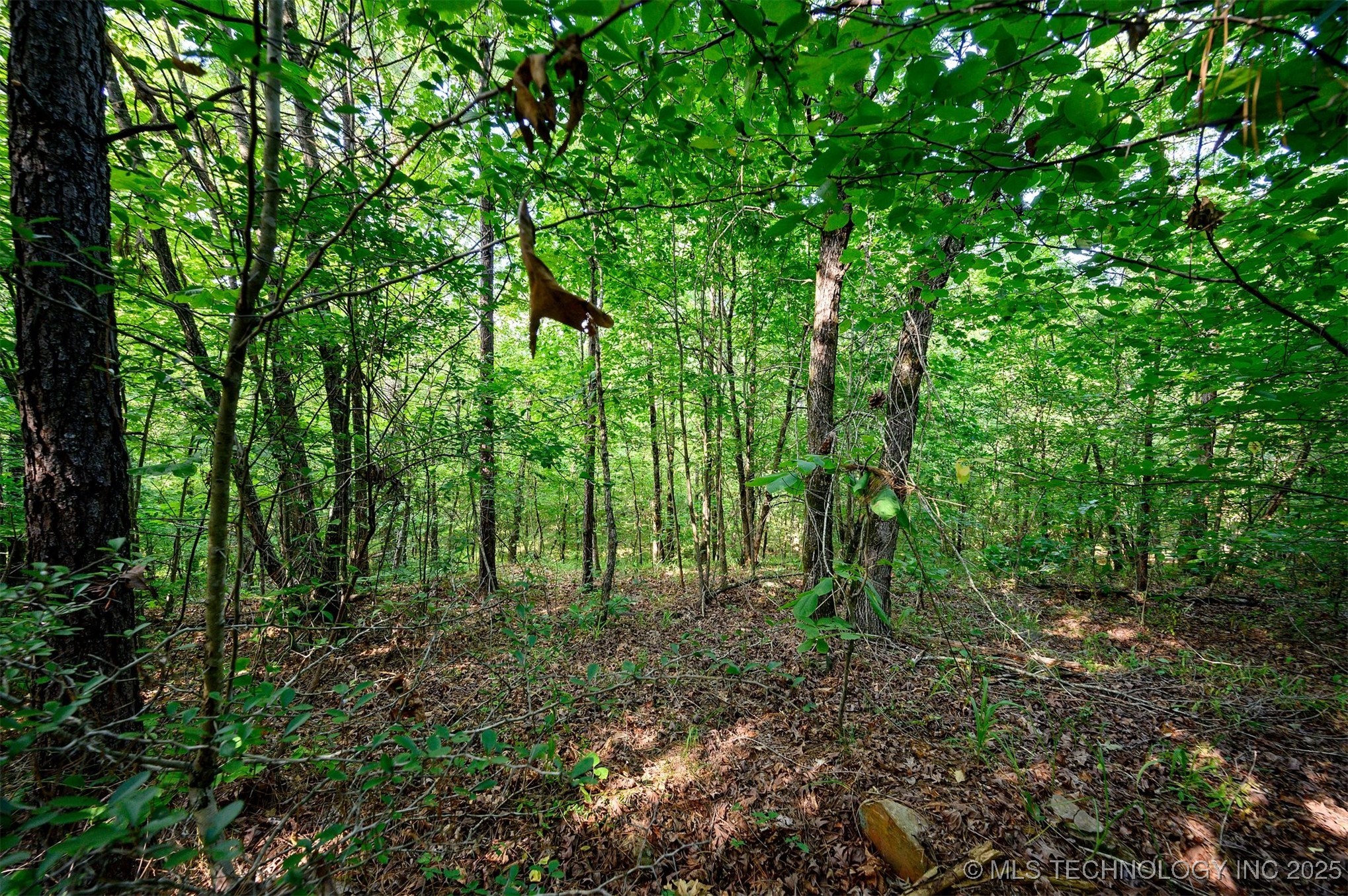66 Aged Acacia Trail Broken Bow OK 74728