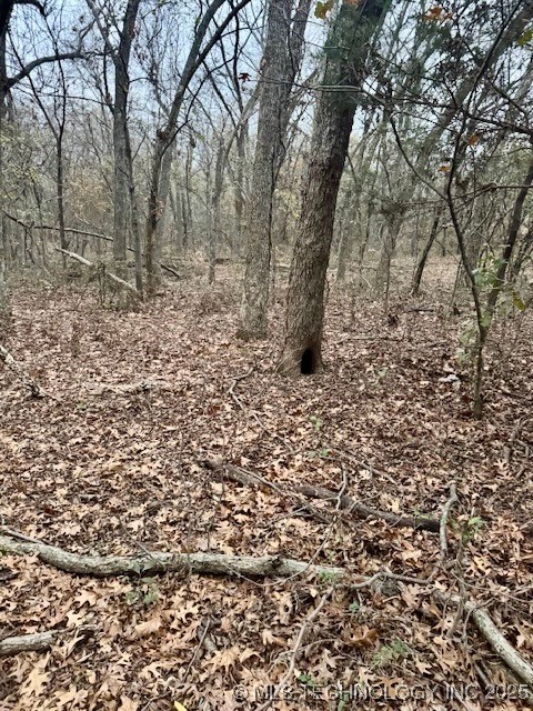210 W 1010 Council Hill OK 74428