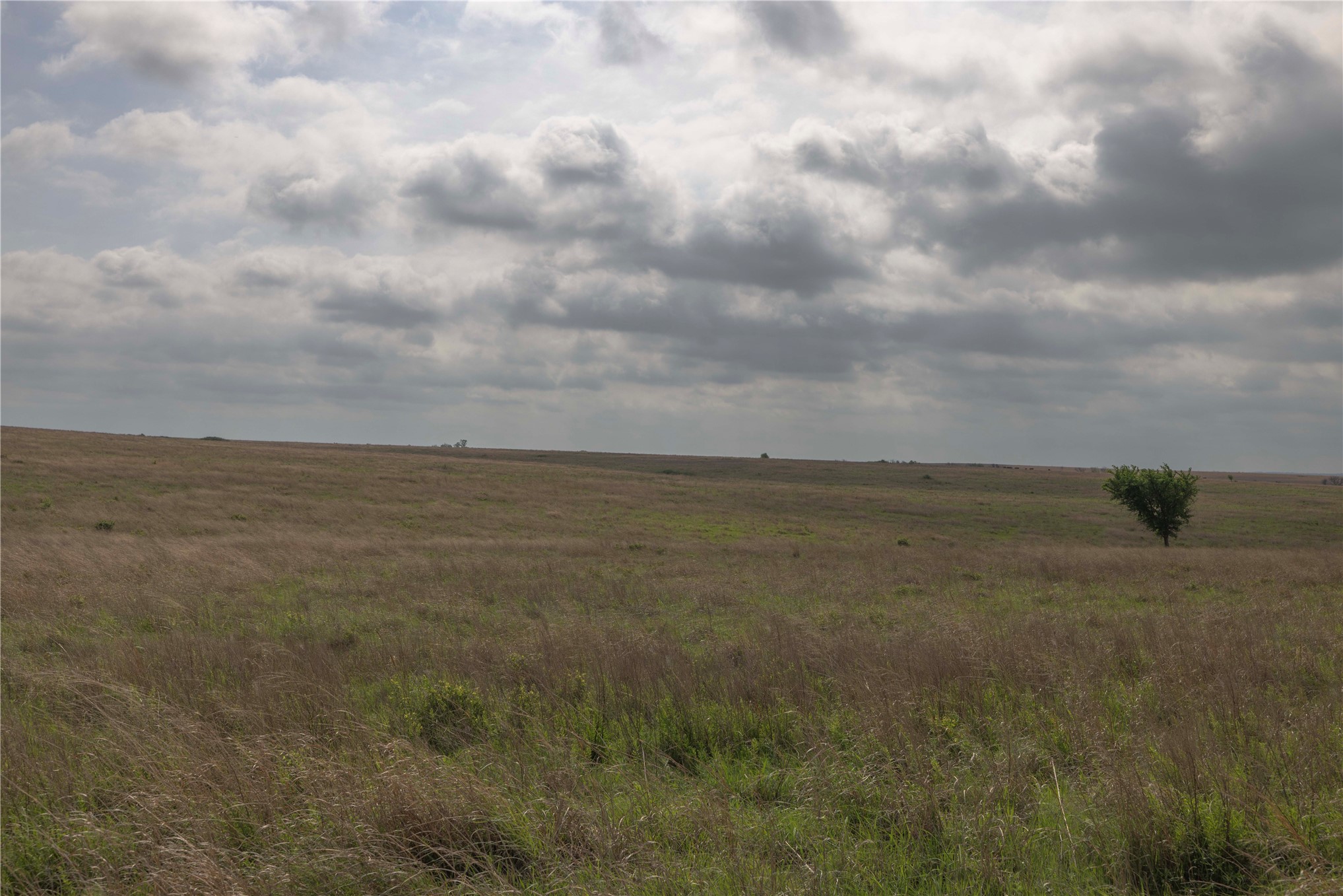 0042 E 4500 Road Pawnee OK 73061